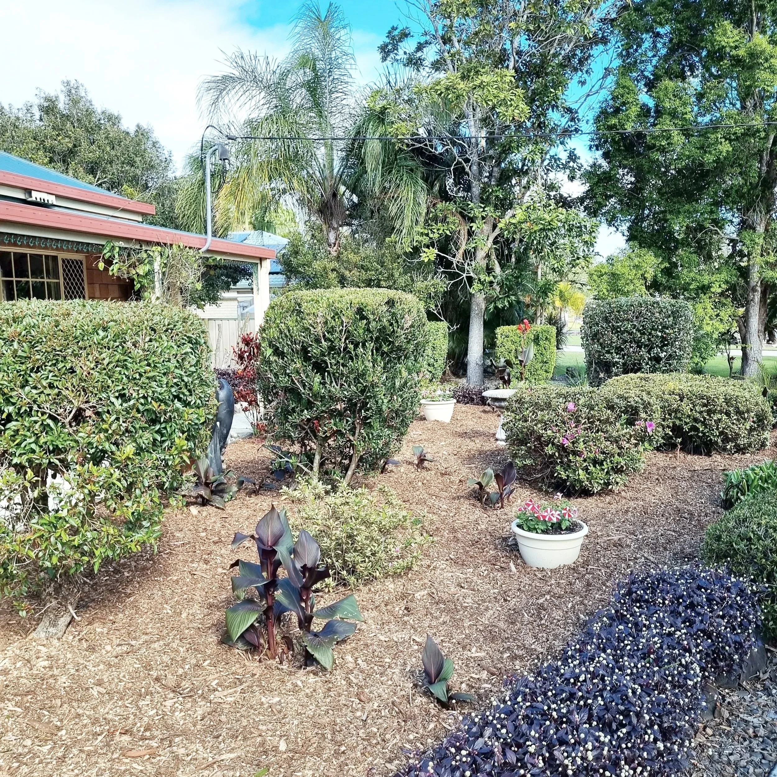 Tidy garden with neatly hedged bushes and fresh mulch – NDIS-friendly gardening service in North Lakes.