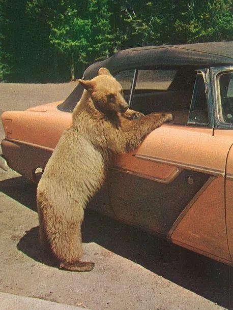 A name you haven&rsquo;t heard. A feeling you already know.