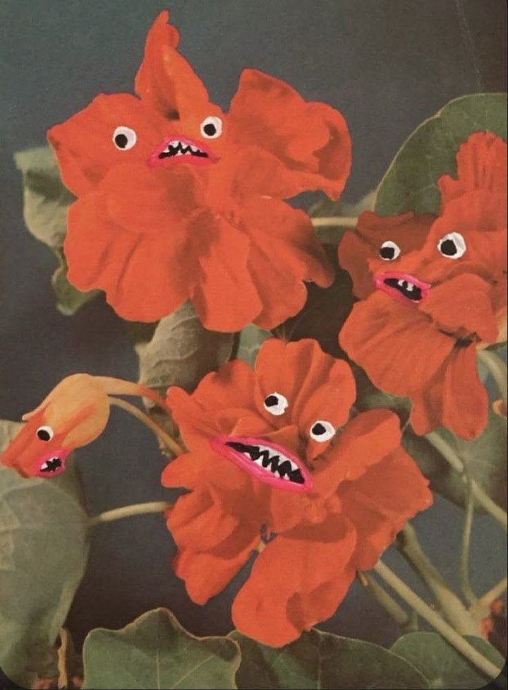 Something curious wandered out of the woods&hellip;