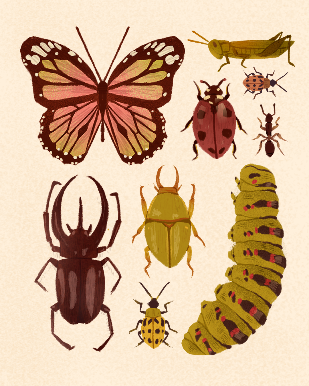 insetos v2.png