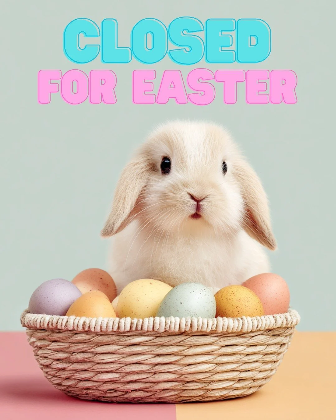 ✨ Easter Hours

Our warehouse and office are closed for the 4-day Easter break (Friday&ndash;Monday).
We&rsquo;ll reopen on Tuesday, April 7.

Happy Easter! 

#phb #phbnz #closedforeaster