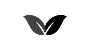 Black background with a gray leaf illustration.