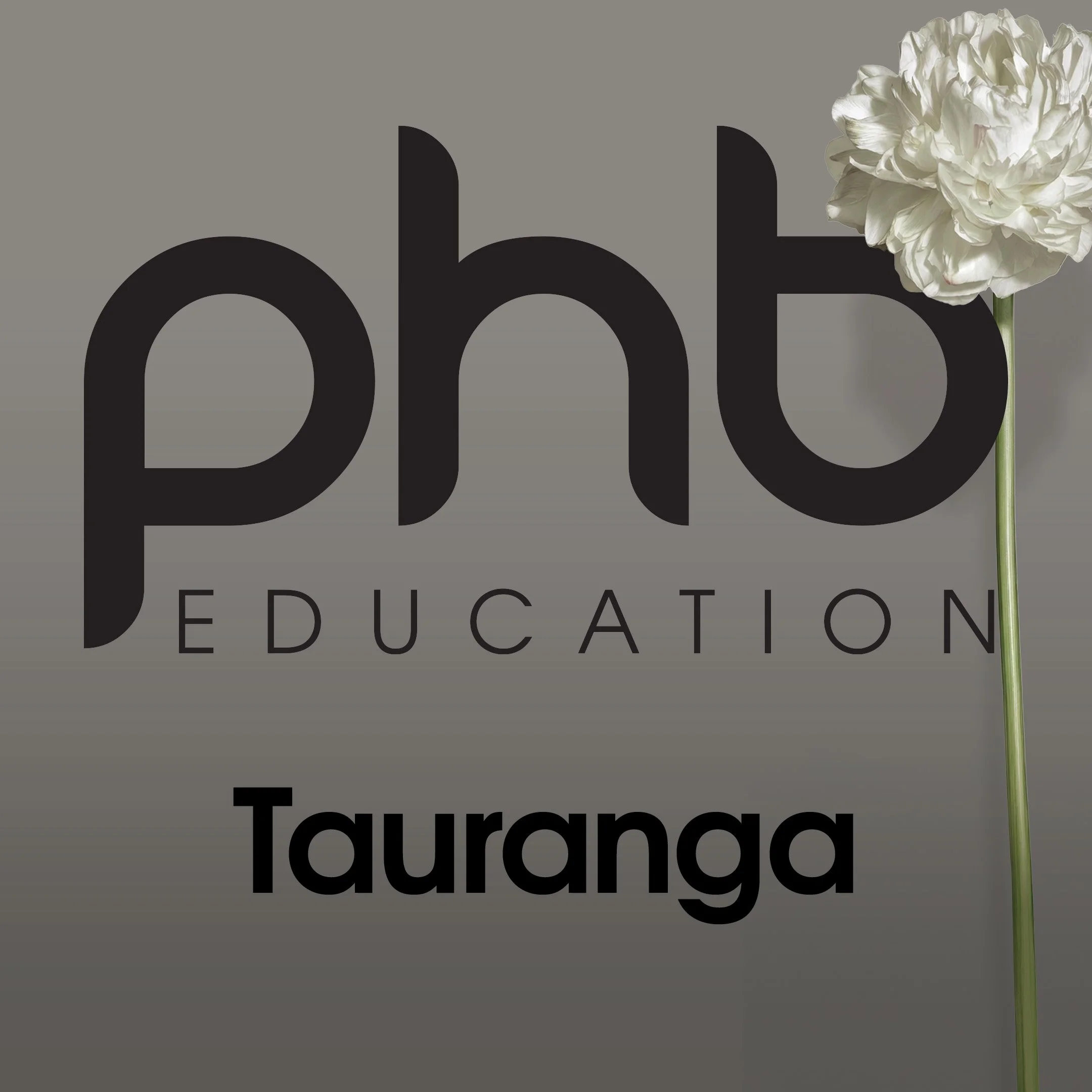 Tauranga Classes