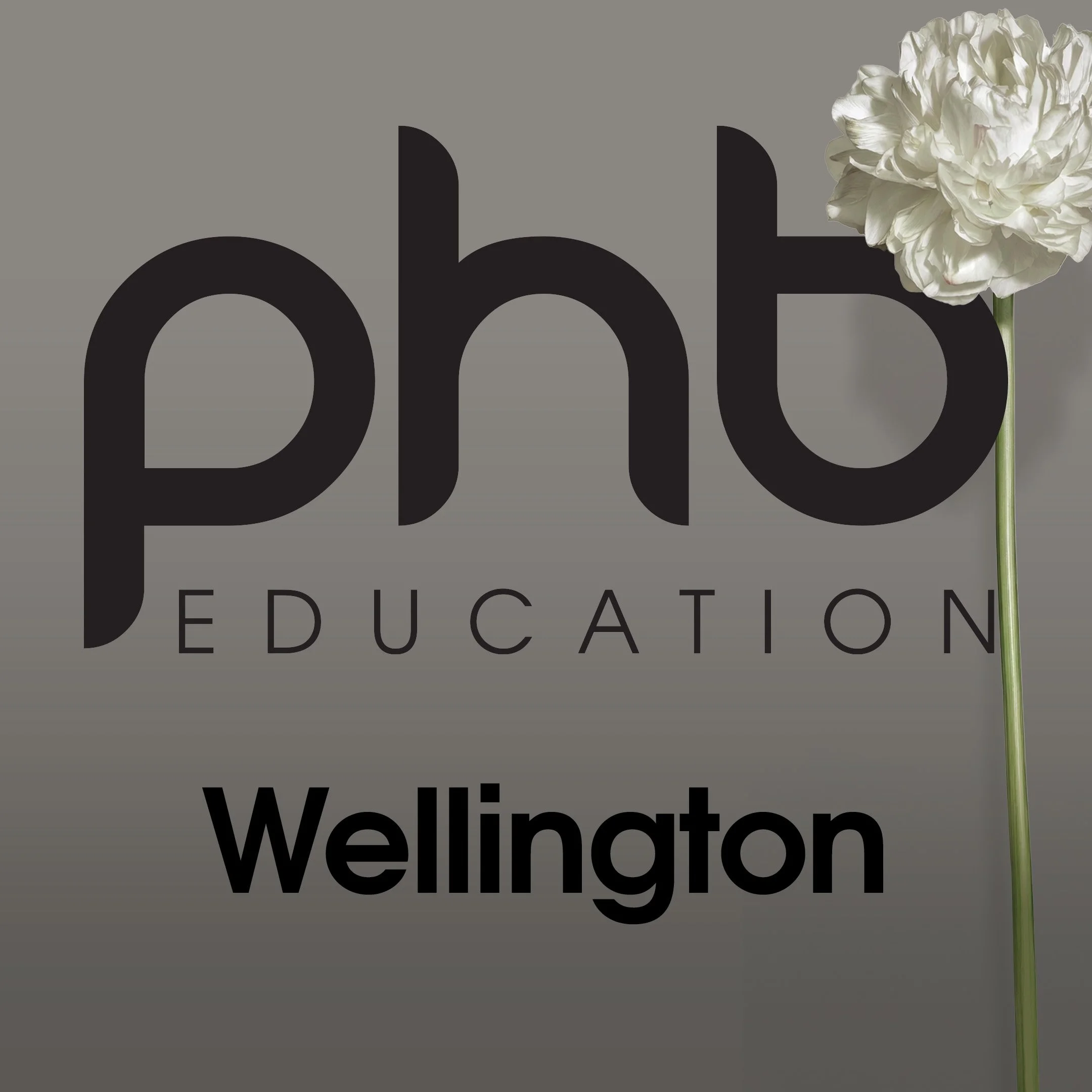 Wellington Classes