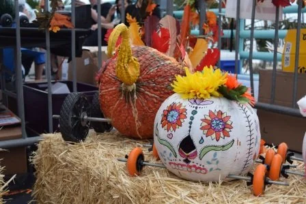 36th Annual World Famous Pumpkin Race