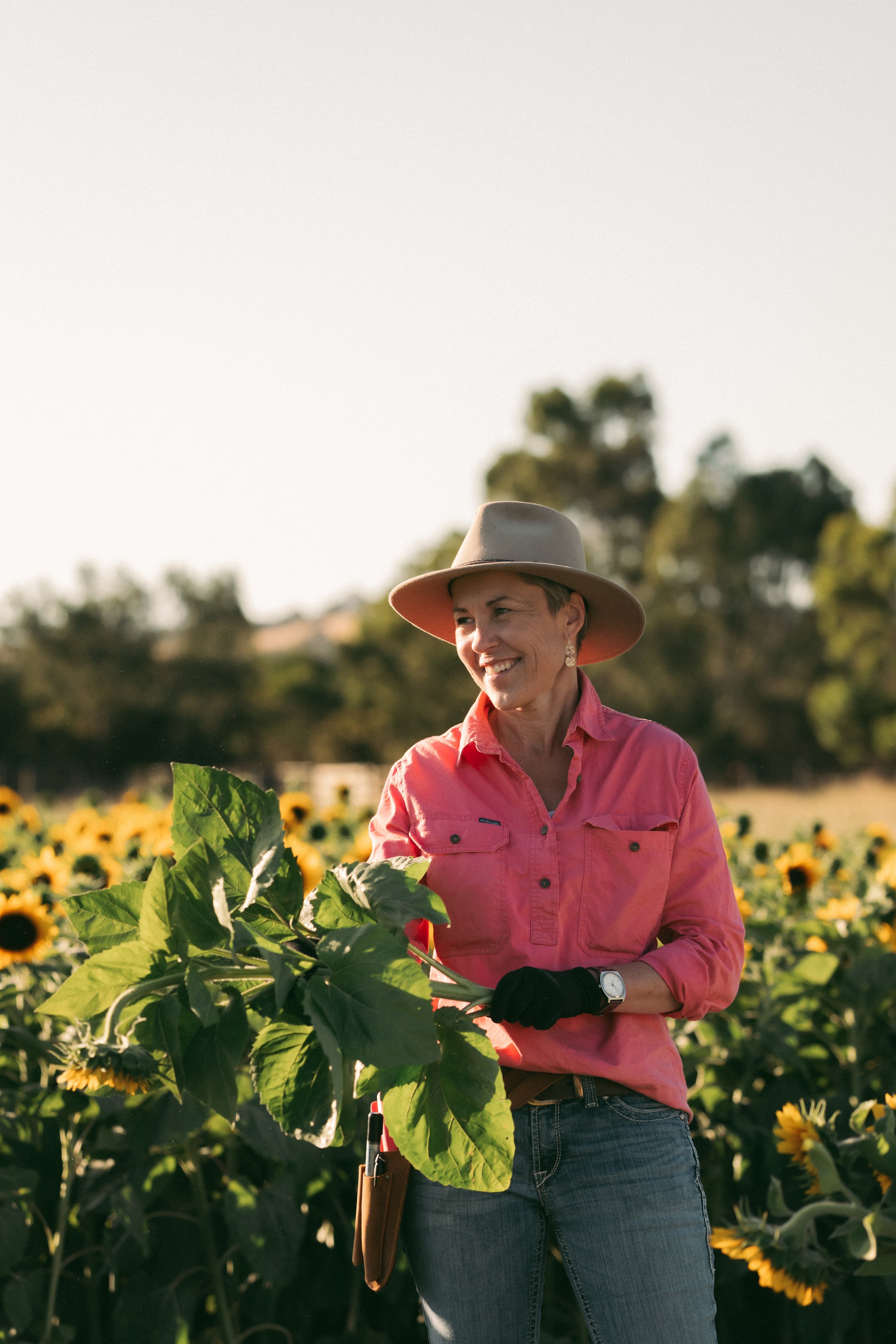A woman in a pink shirt and beige wide-brimmed hat standing in a sunflower field, smiling and holding a sunflower plant.