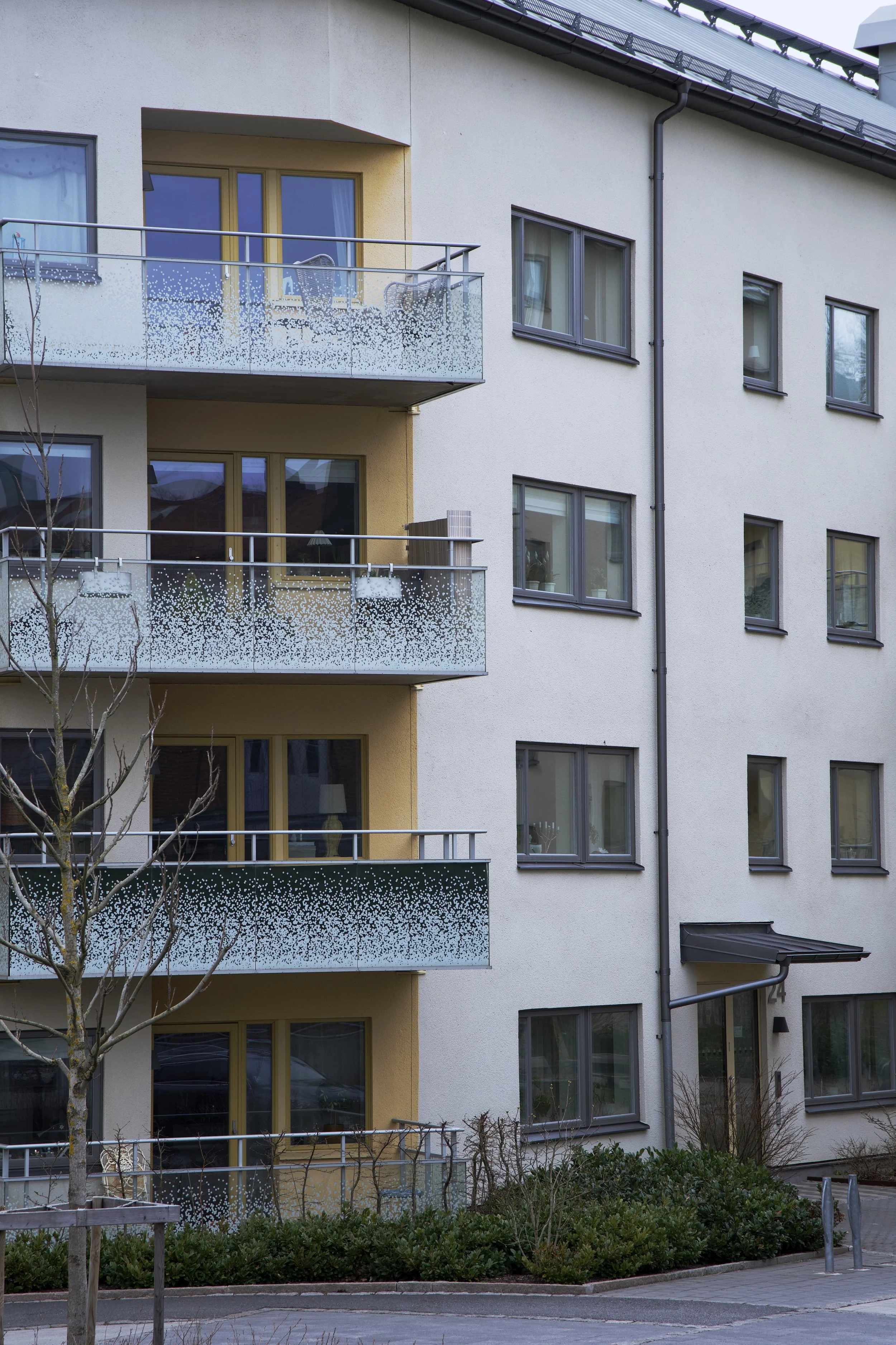 DSC06492 1 Edited.jpg