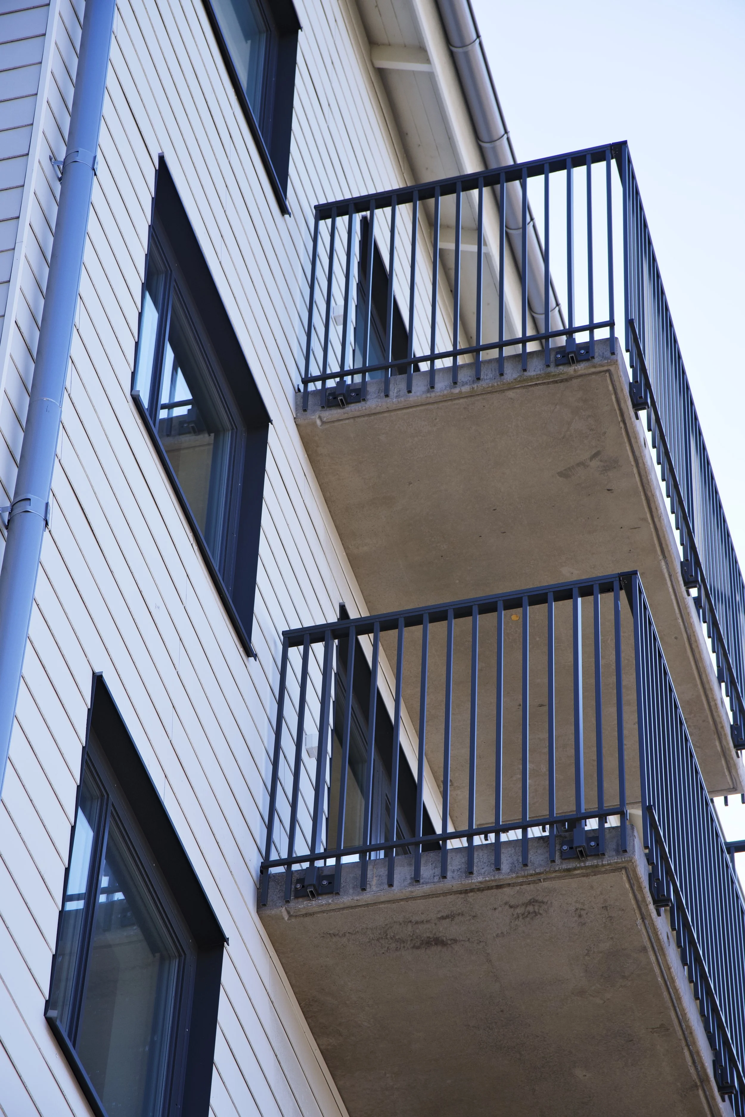 DSC06449 6 Edited.jpg