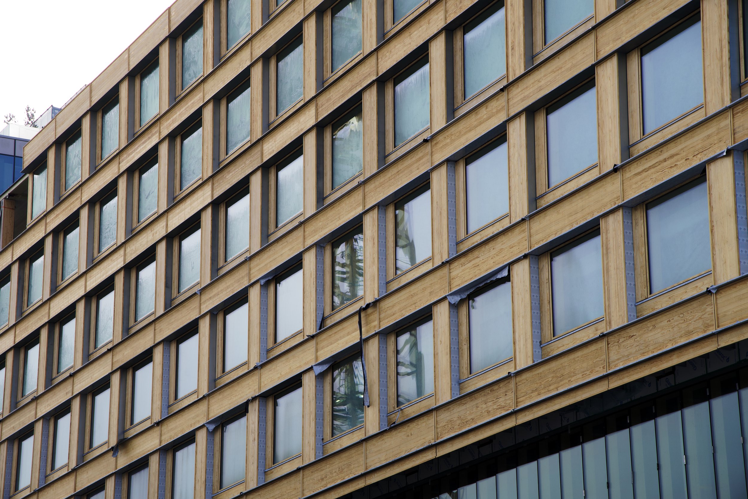 DSC05770 3 Edited.jpg