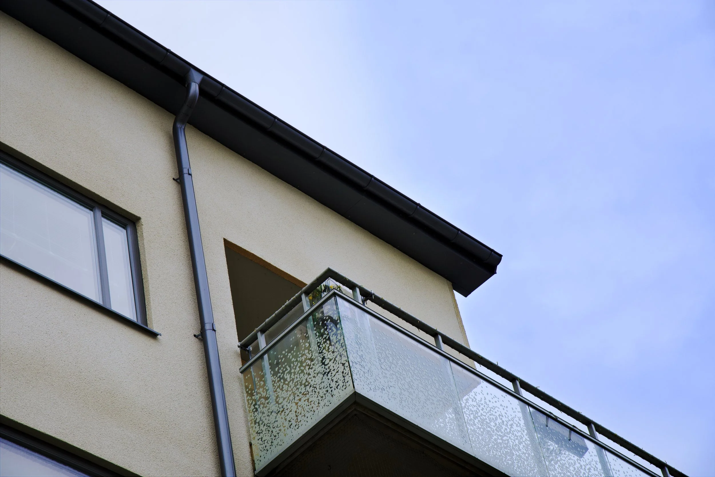 DSC06507 6 Edited.jpg