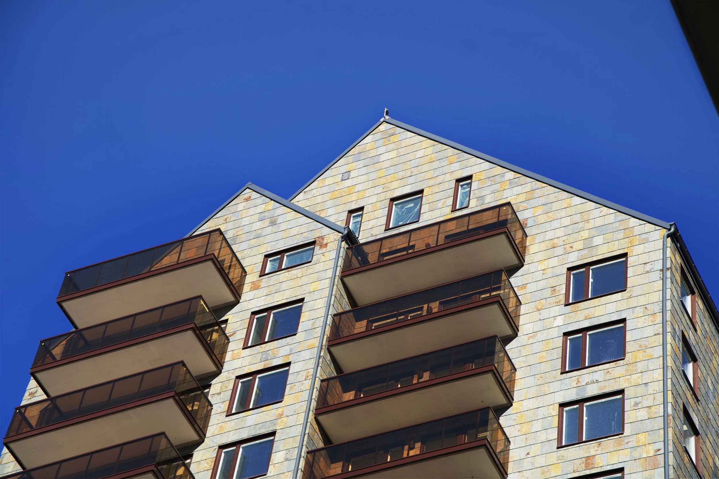 DSC06220 46 Edited.jpg