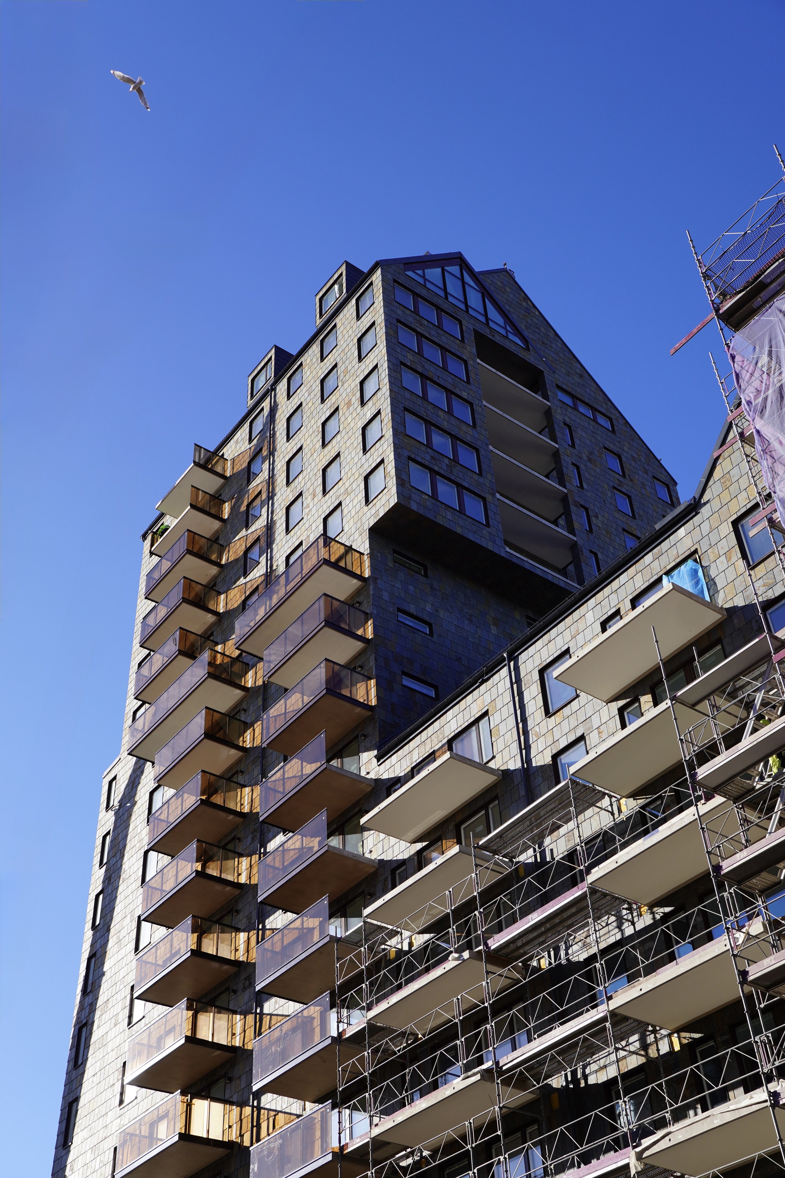 DSC06207 35 Edited.jpg