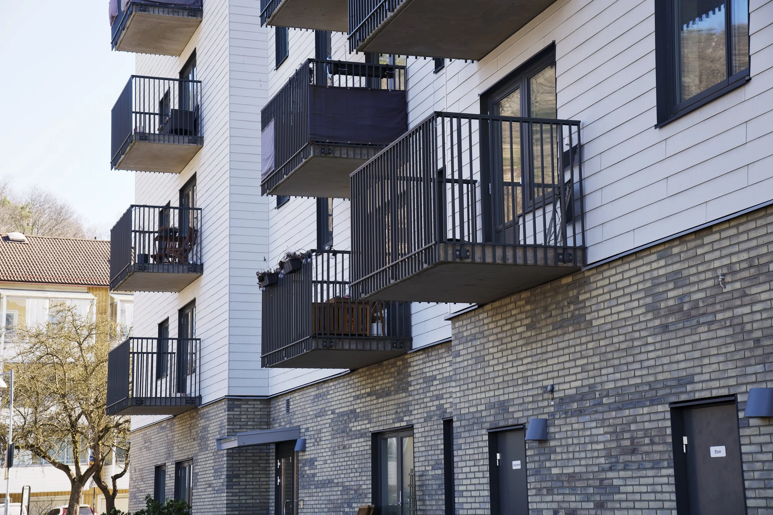 DSC06444 5 Edited.jpg