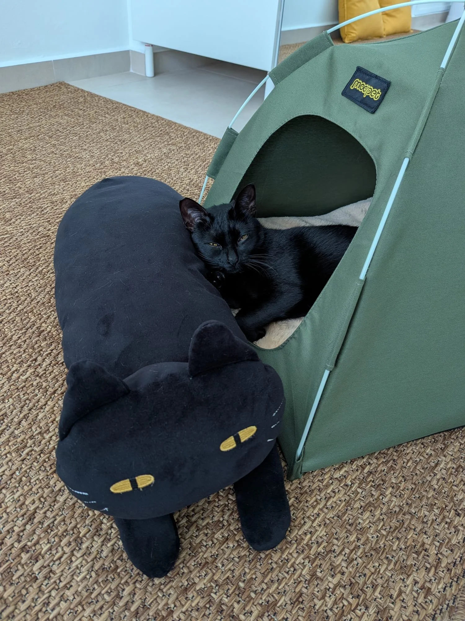 Mama Noir, adopted in 2026