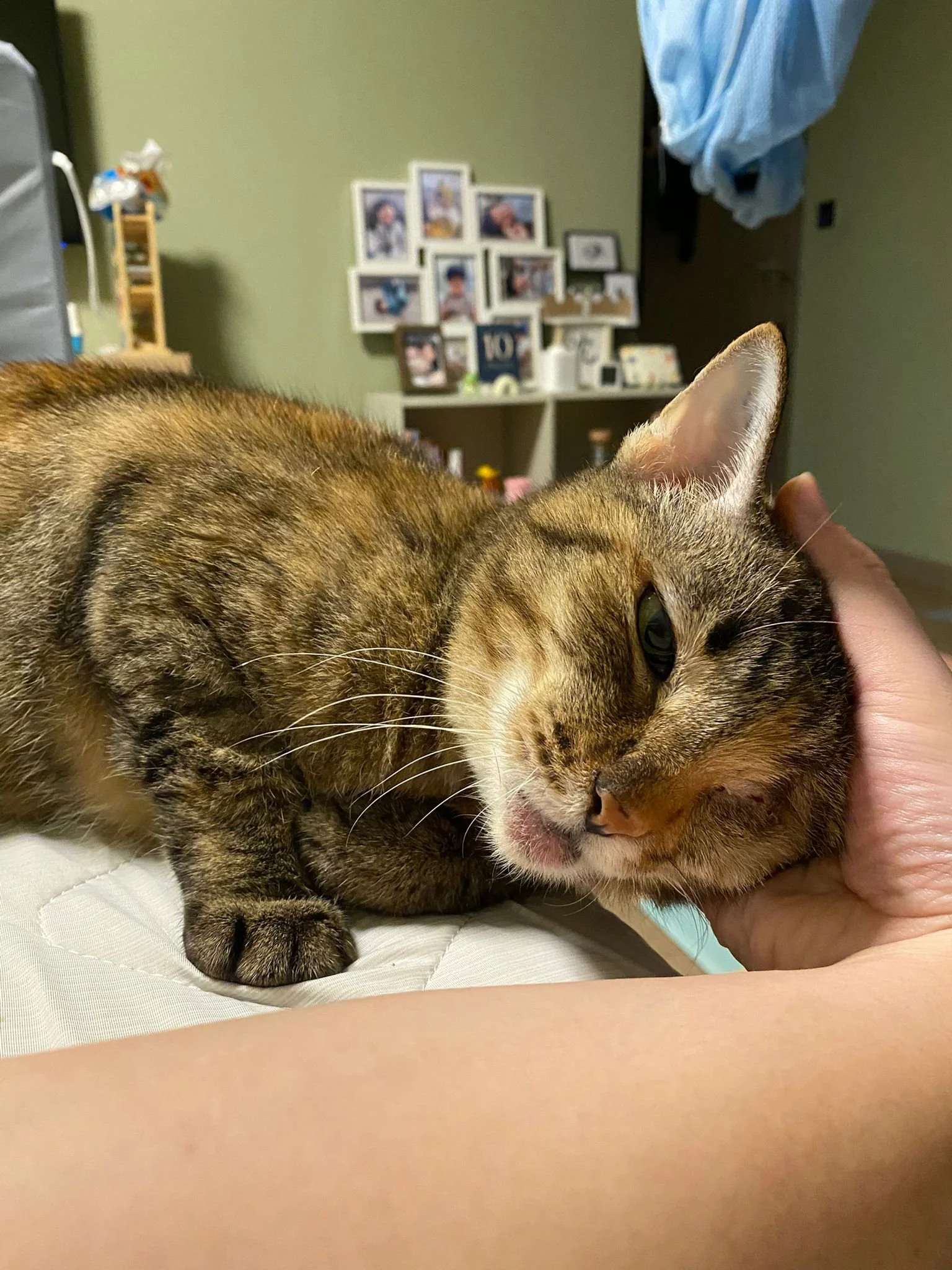 Coco, adopted in 2025