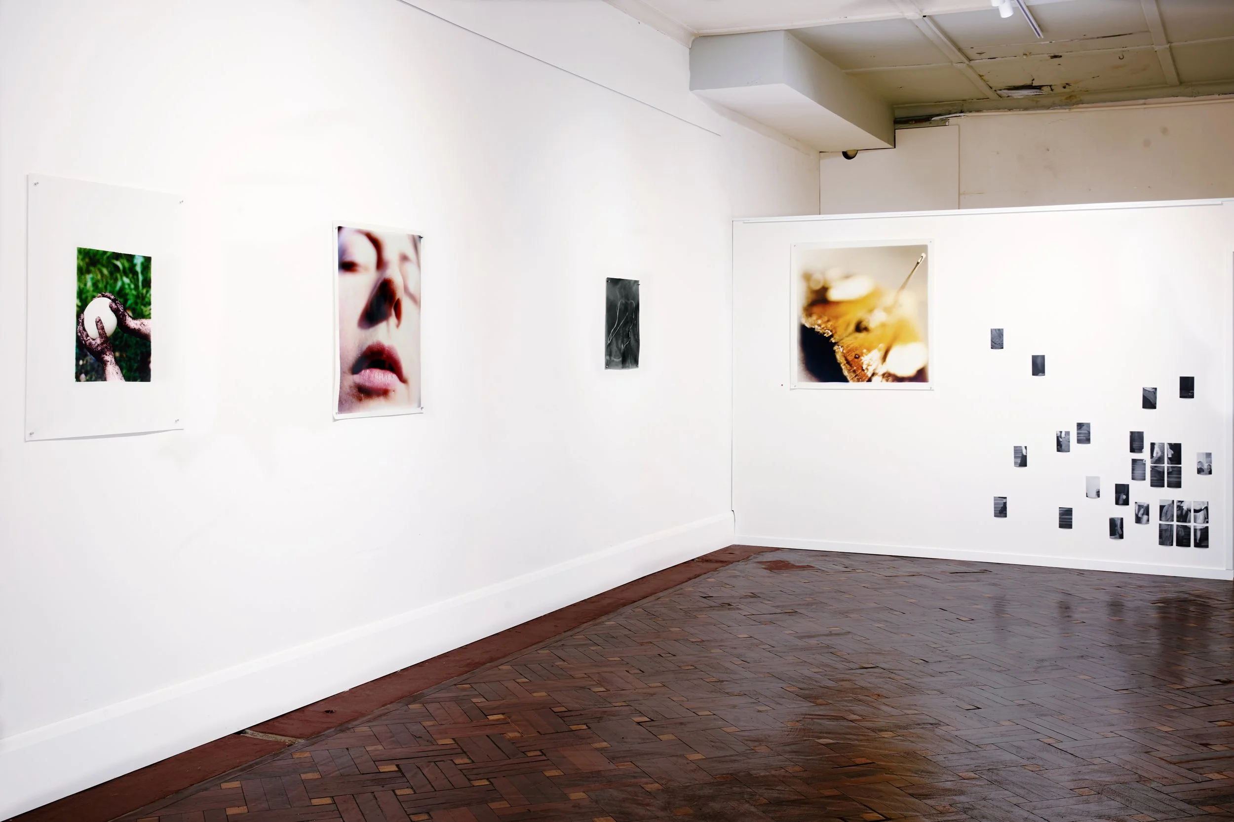 edit_Harlow_Gallery 3.jpg