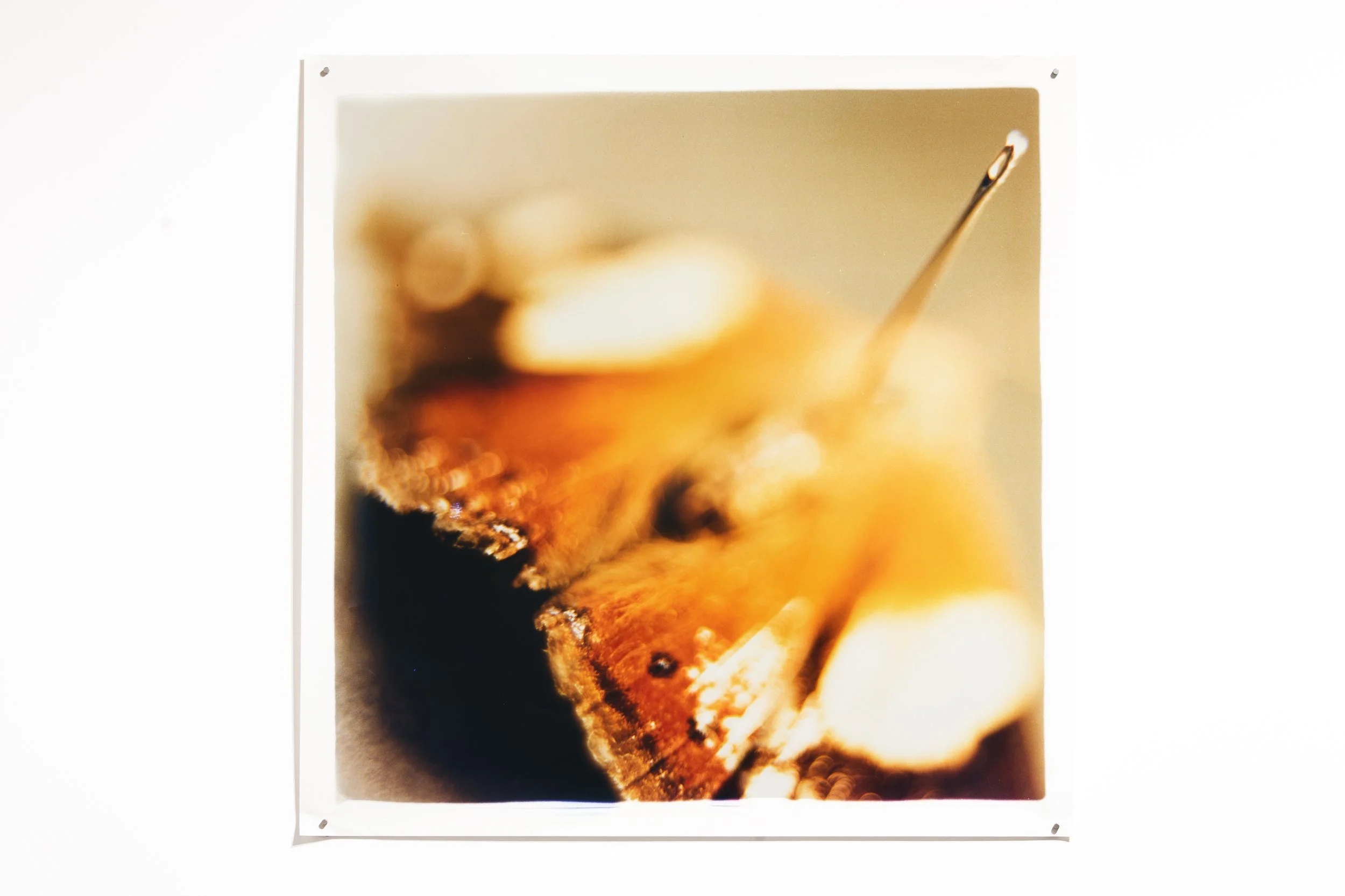 edit_Harlow_Gallery 8.jpg