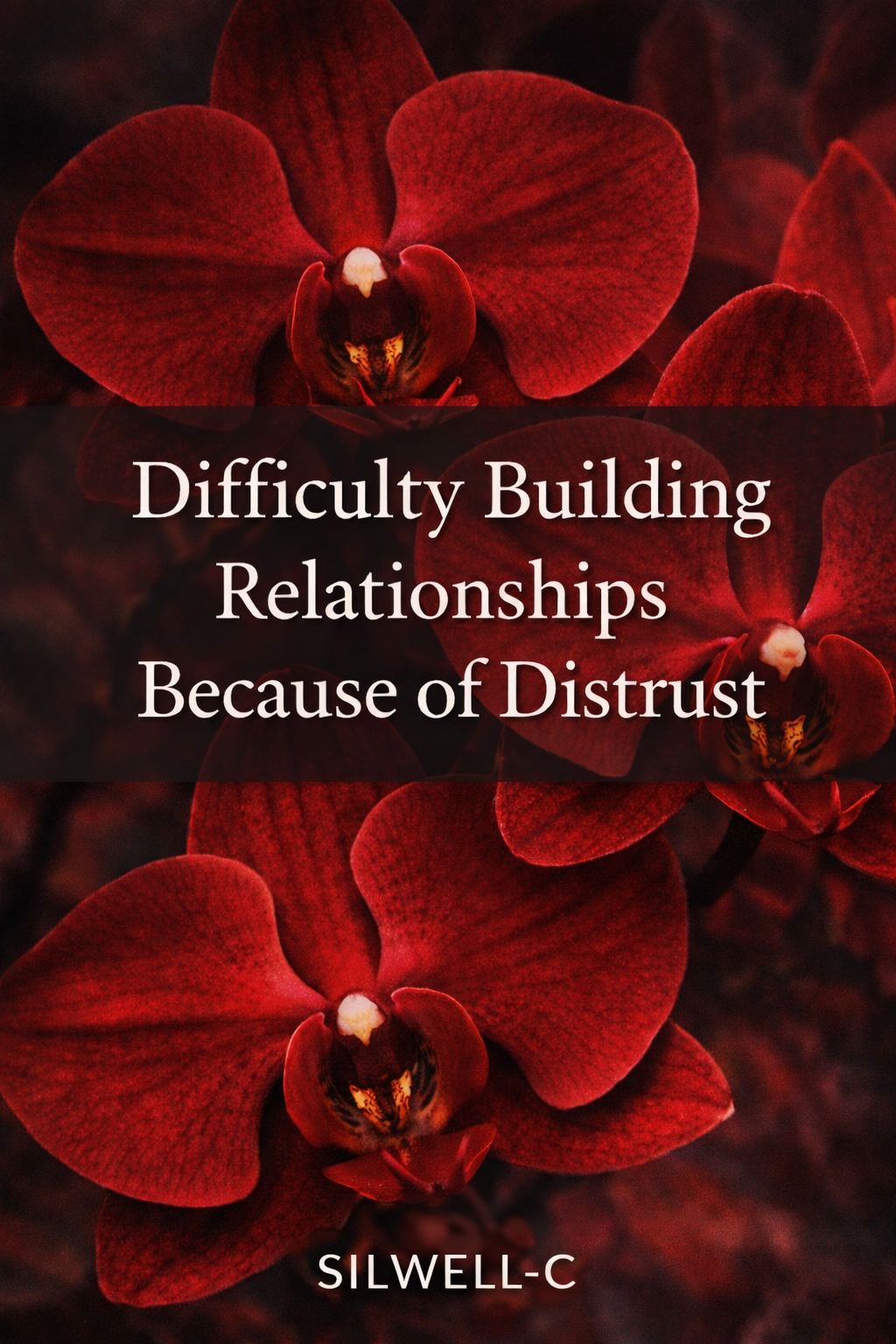 Difficulty Building Relationships Because of Distrust