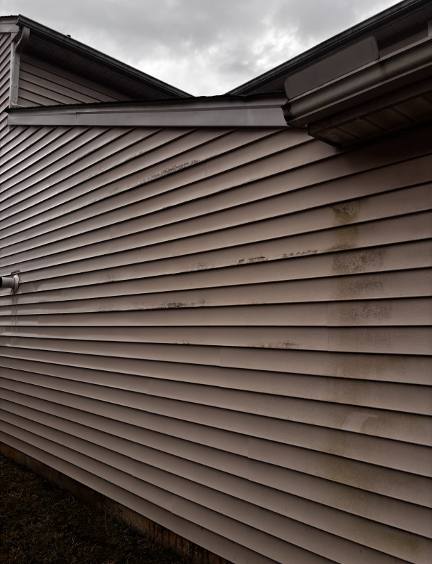 Removing Mold and Mildew from Vinyl Siding