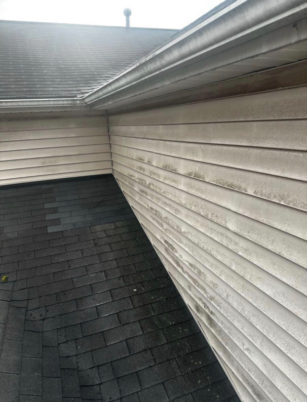 Soft Washing to Restore Exterior Siding