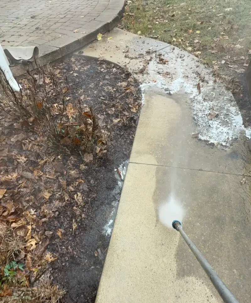 Walkway Cleaning