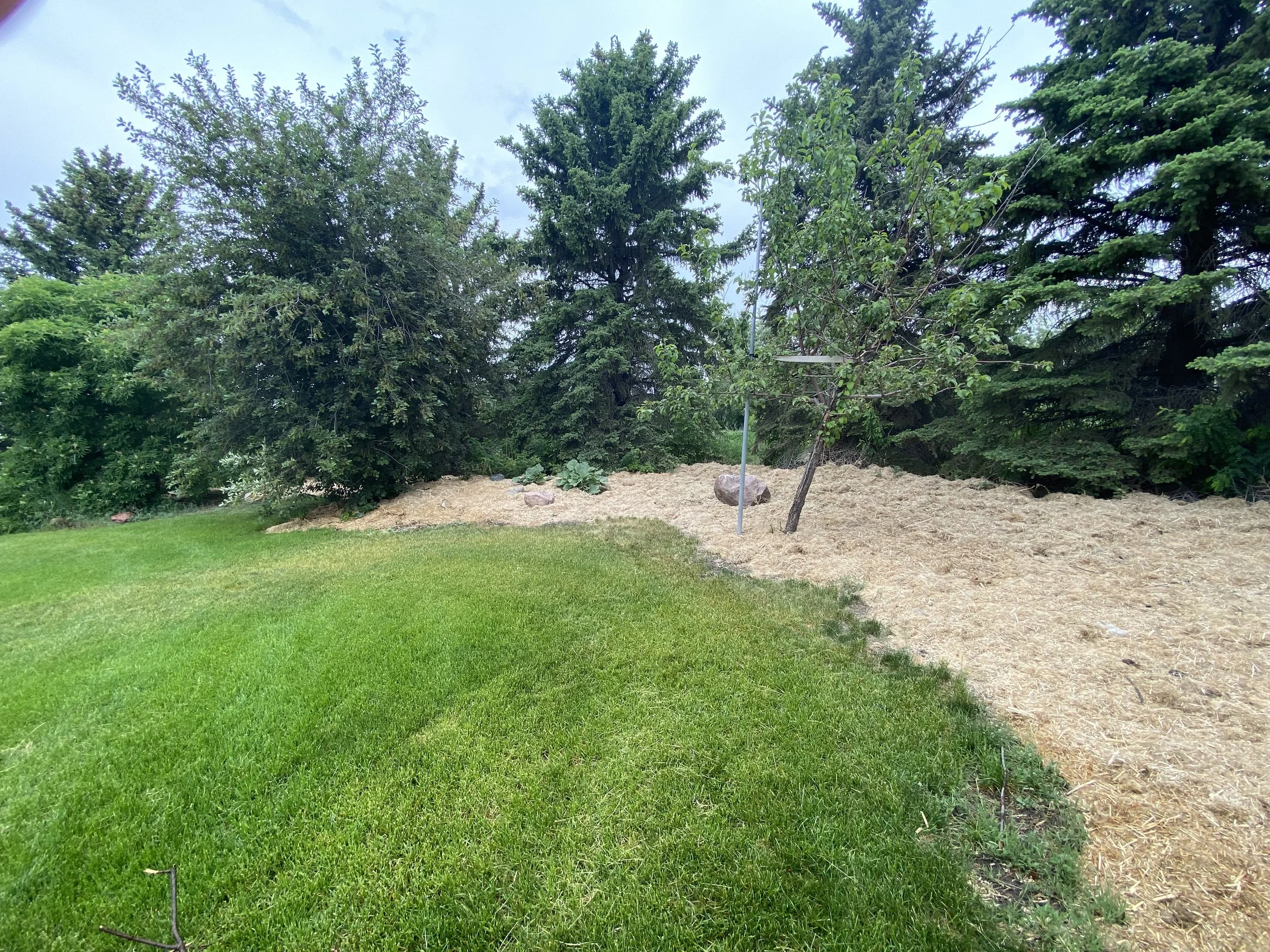 HempScape around trees