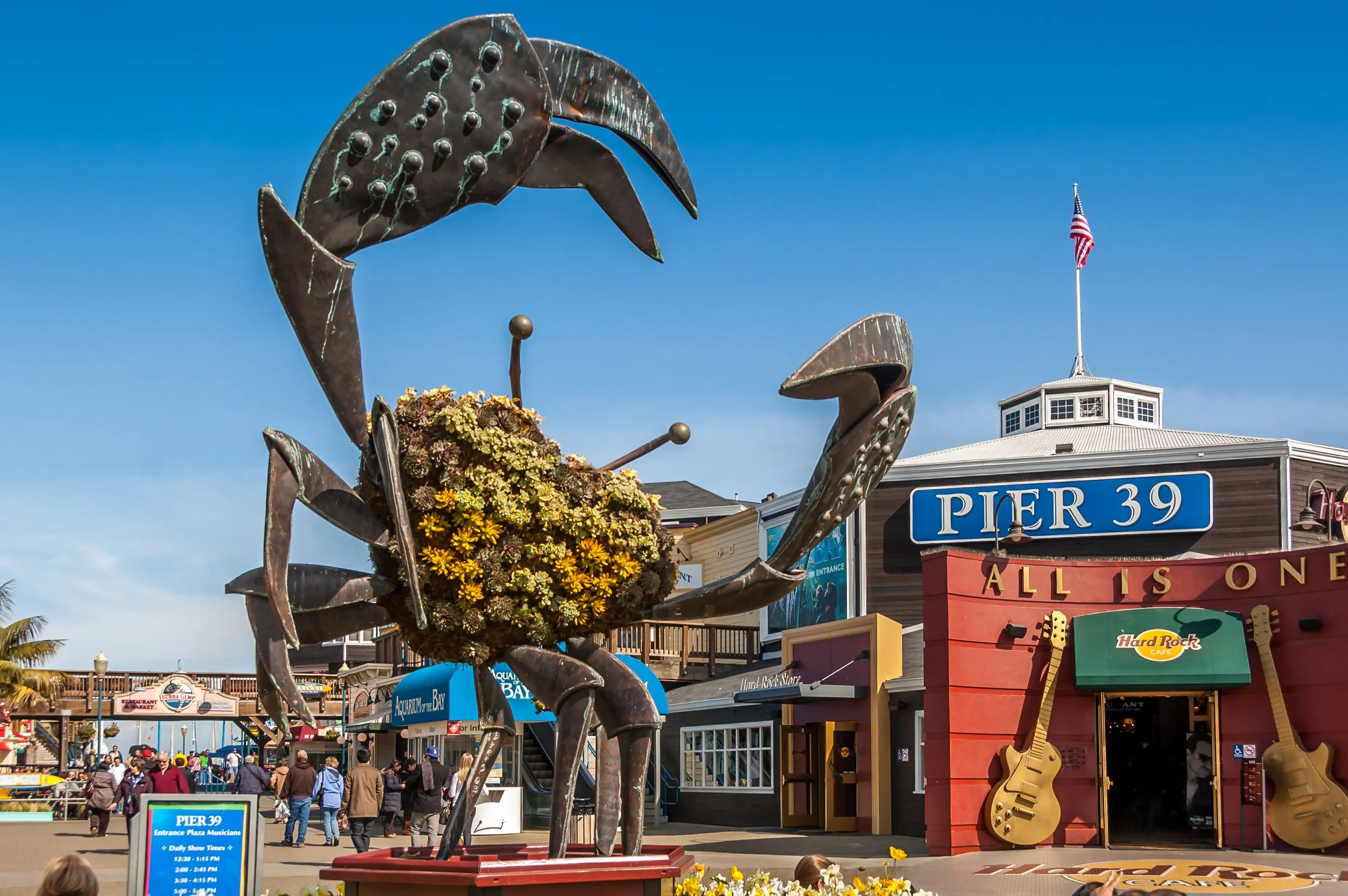 Fisherman’s Wharf & Pier 39 – Sea lions, seafood, and lively waterfront vibes.
