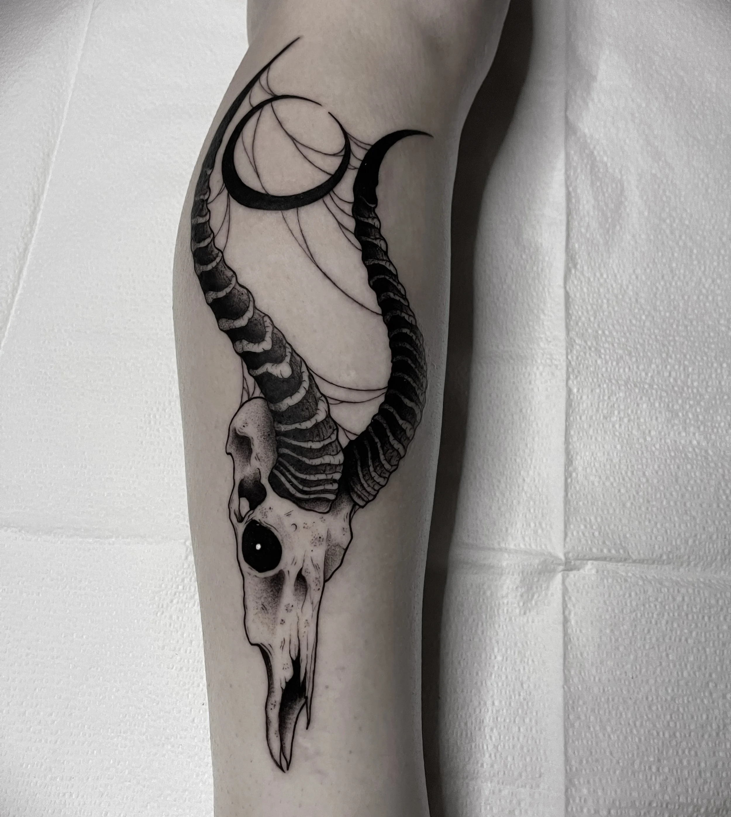 Tattoo of a ram skull with large curved horns and a black eye socket on a person's arm.
