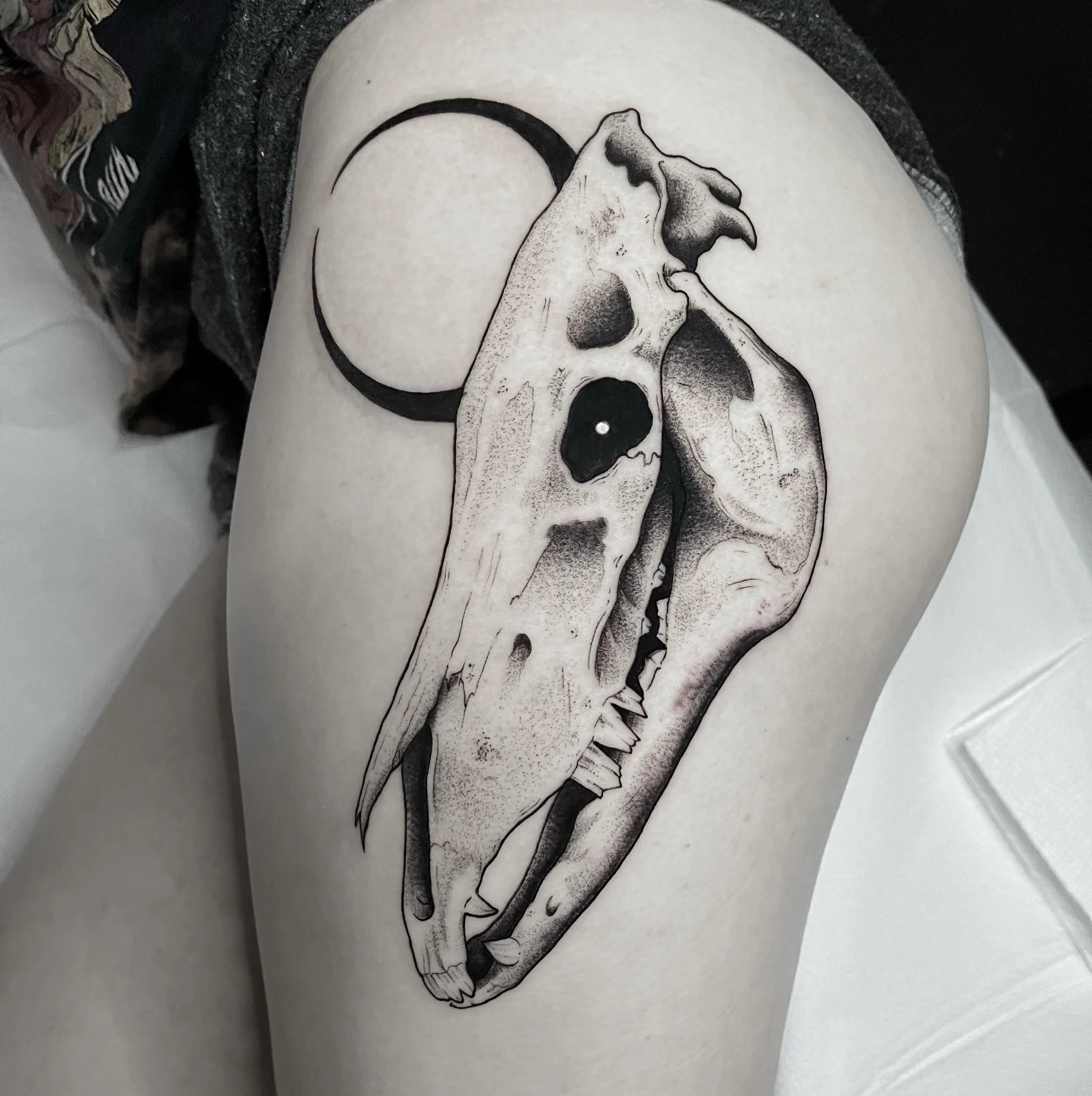Black and gray tattoo of a dinosaur skull on a person's upper arm, with a crescent moon in the background.