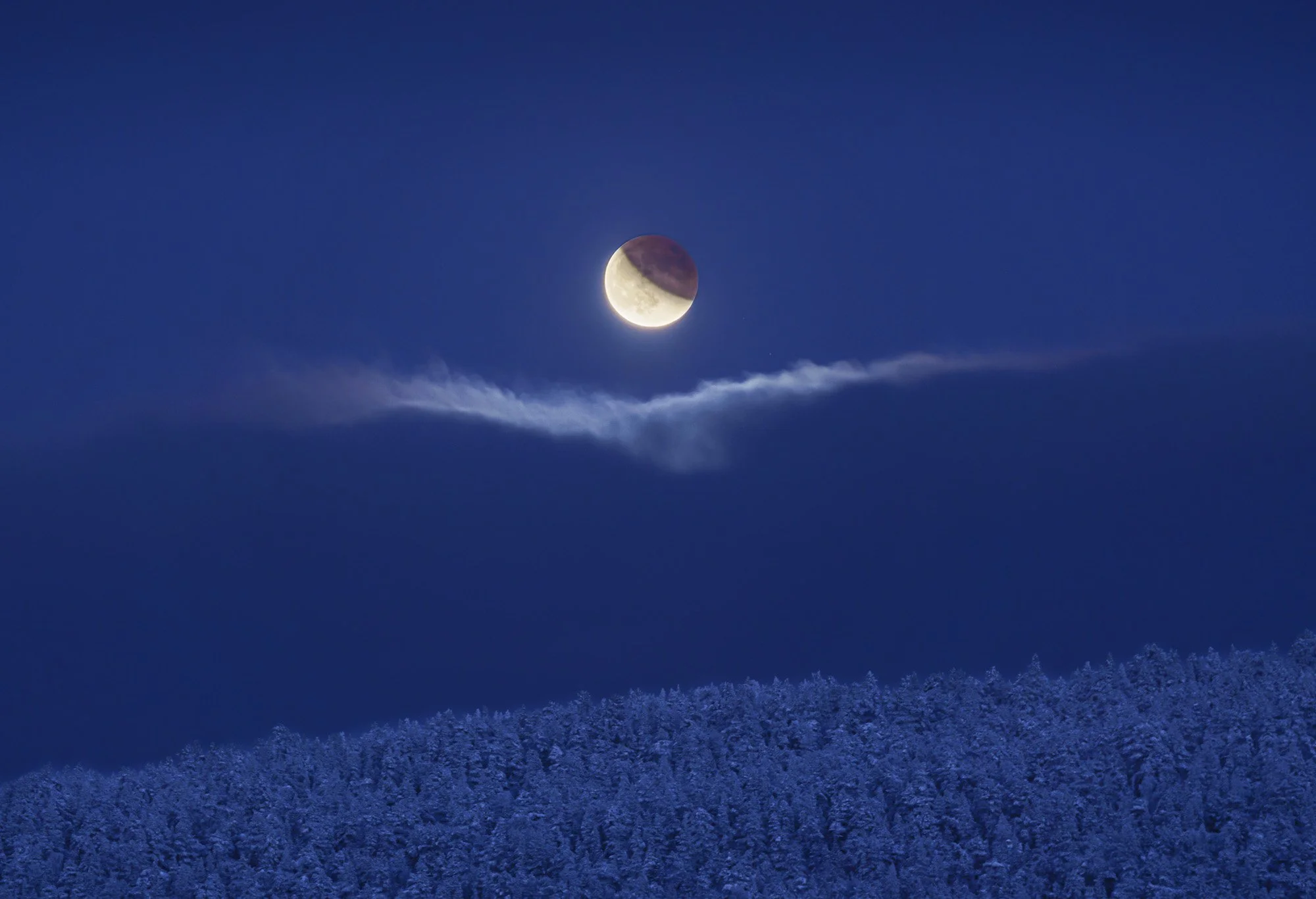 Night sky with moon in a waxing crescent phase and a snow-covered forest below.