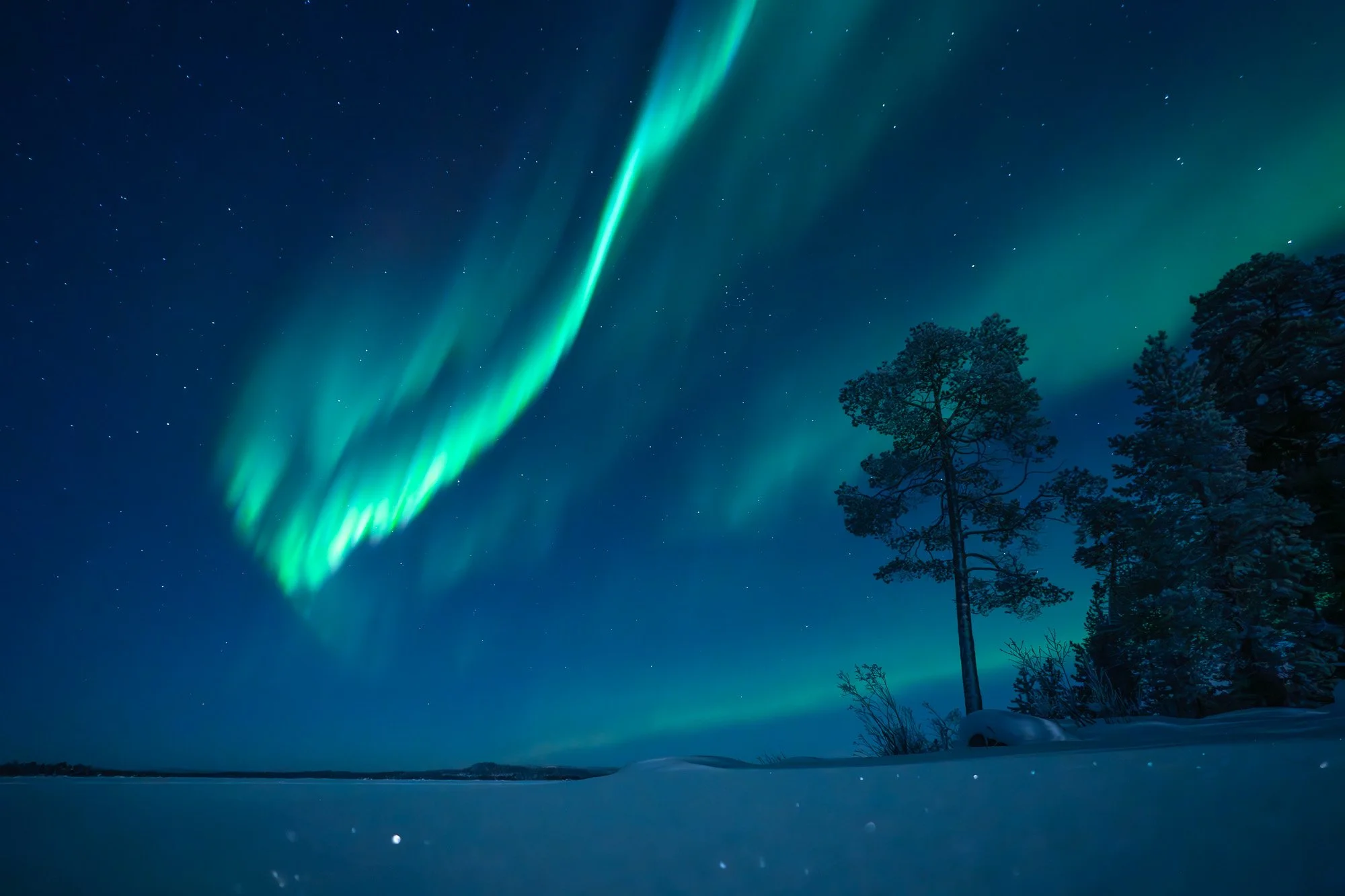 Northern Lights in the night sky over snow-covered ground with trees.