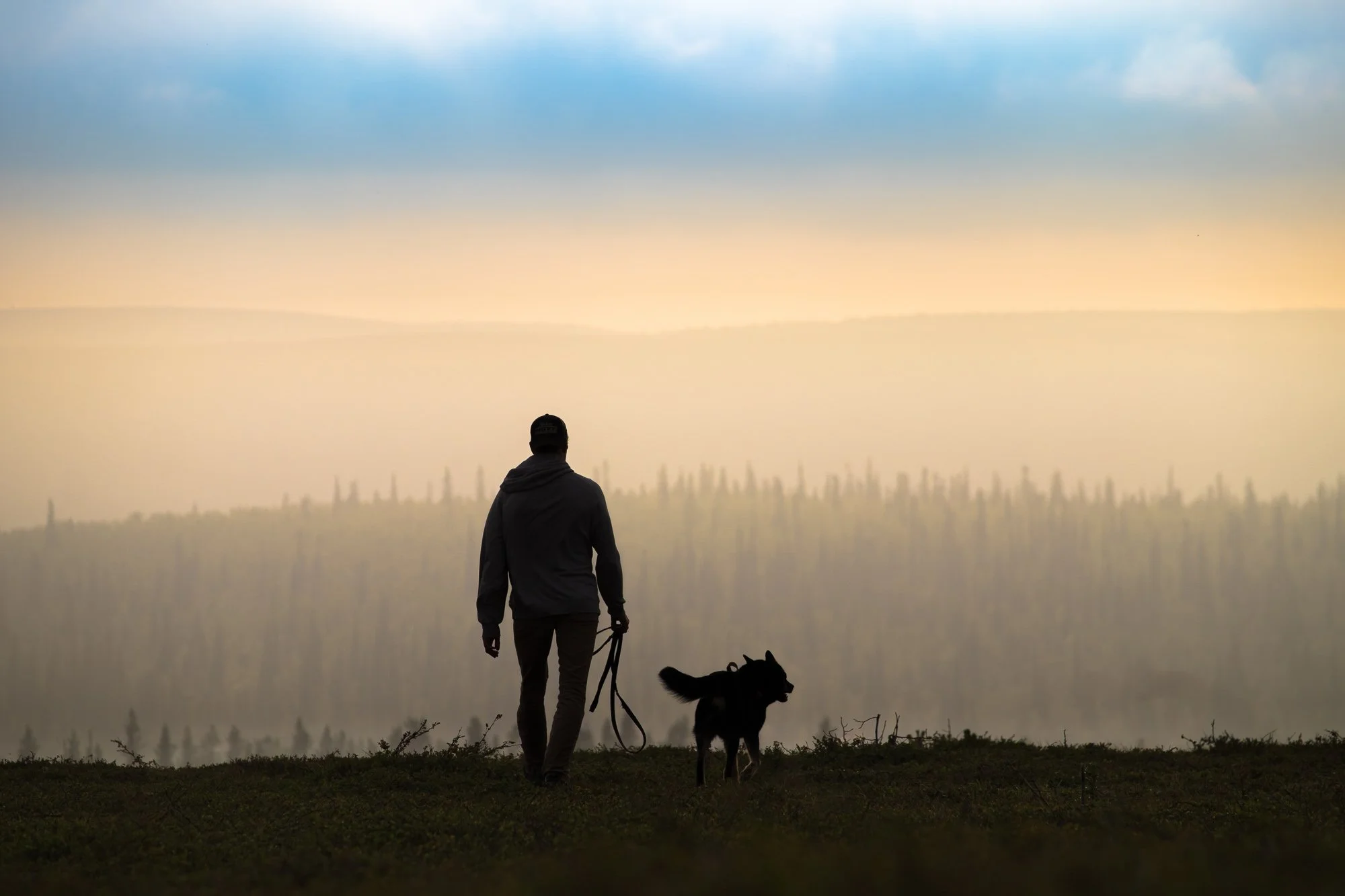 A person walking a dog outdoors at sunset, with a scenic landscape and distant trees in the background.