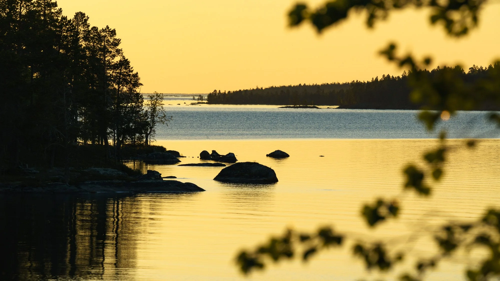 Serene lakeside scene at sunset with calm water, rocks, and trees along the shoreline, some foliage in the foreground.