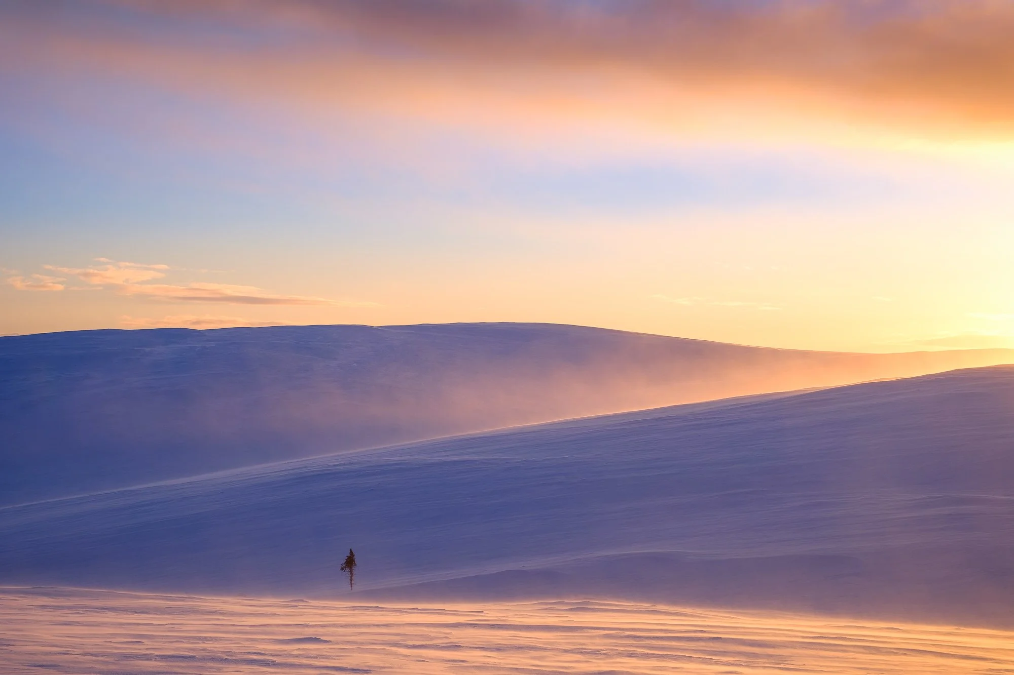 Snow-covered landscape with large rolling hills and a single tree, illuminated by a warm sunset in the background.