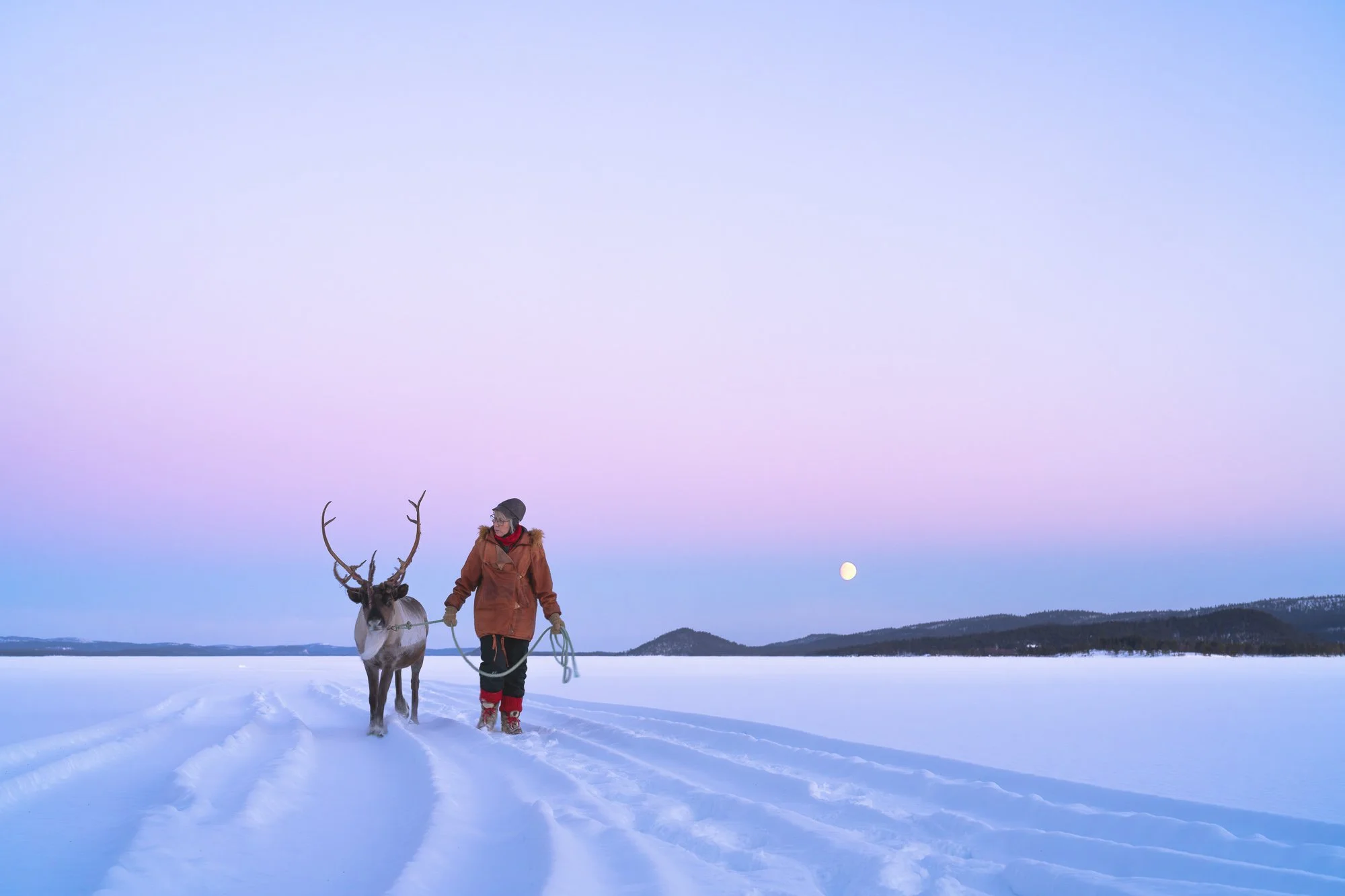 A person wearing winter clothing leading a reindeer on a snowy landscape under a colorful sky with the moon visible.