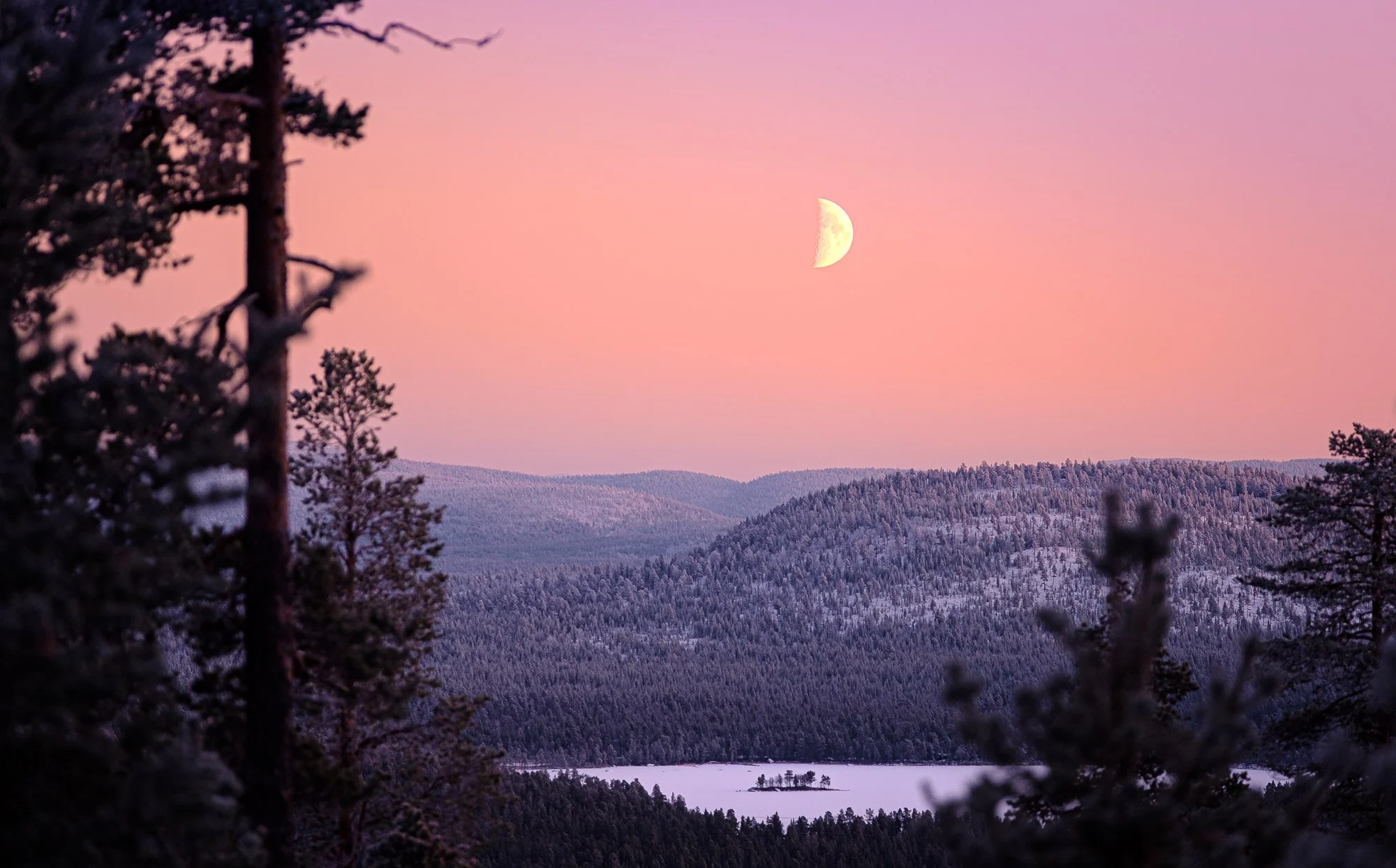 A landscape of mountainous forested area with snow-covered trees and a small frozen lake in the foreground. The sky is pink with a waxing moon visible.