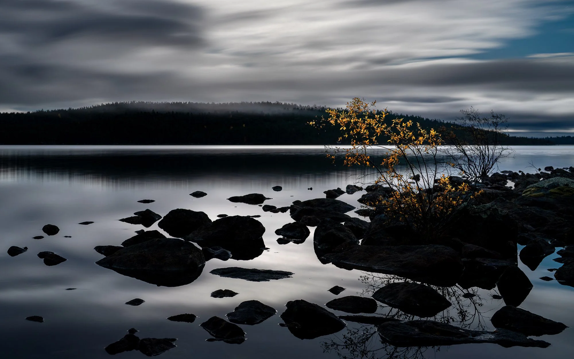 A lakeside scene with large rocks in the foreground, a small tree with golden leaves, calm water, a forested hill in the distance, and a cloudy sky.