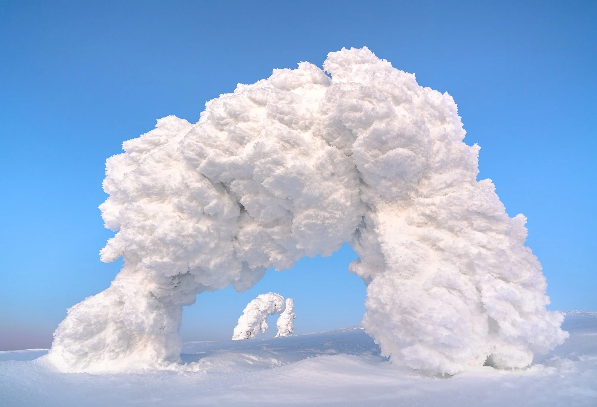 Snow-covered trees in a winter landscape under a blue sky.