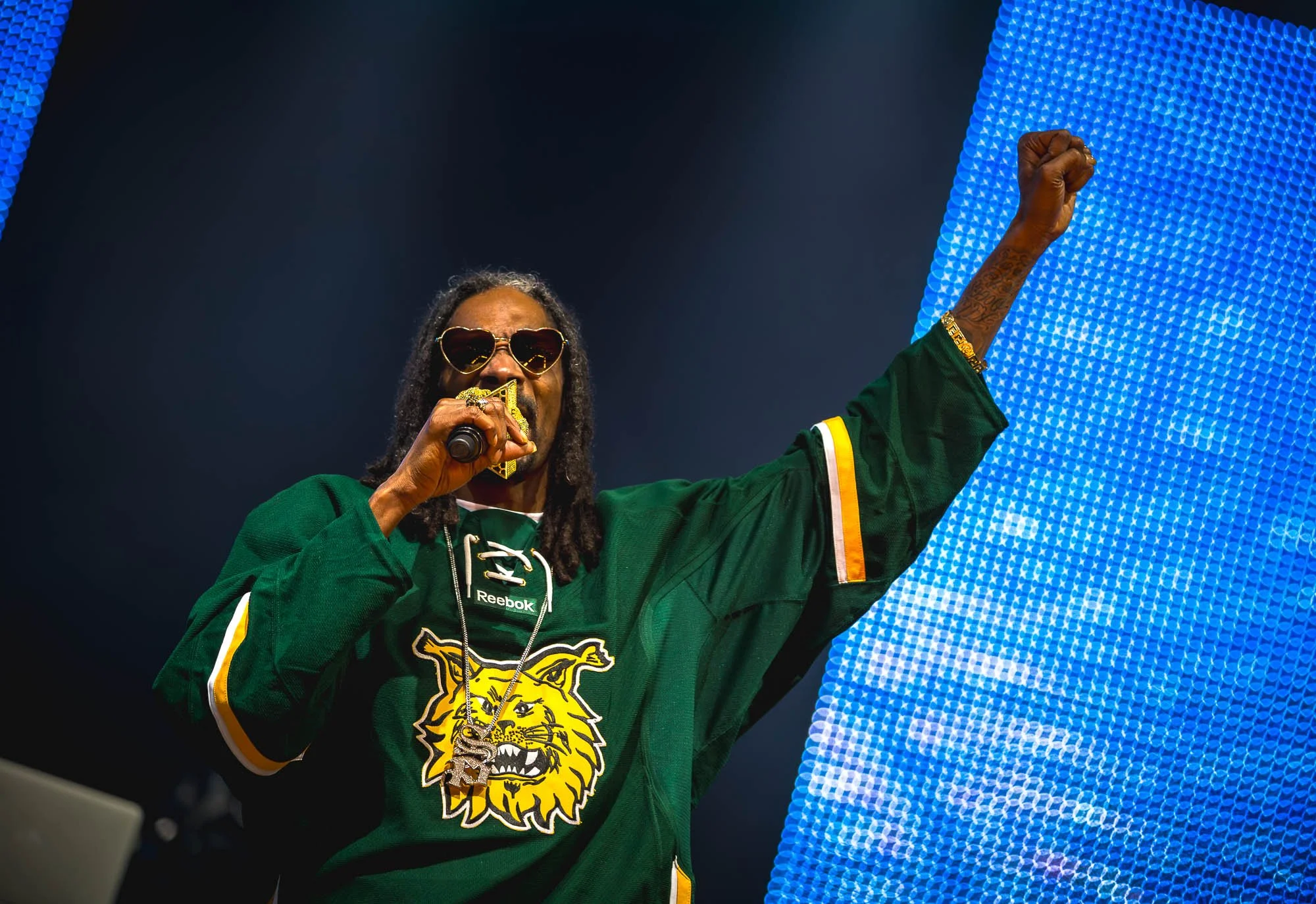 A man wearing sunglasses and a green hockey jersey with a lion logo is holding a microphone and raising his fist in the air on stage.
