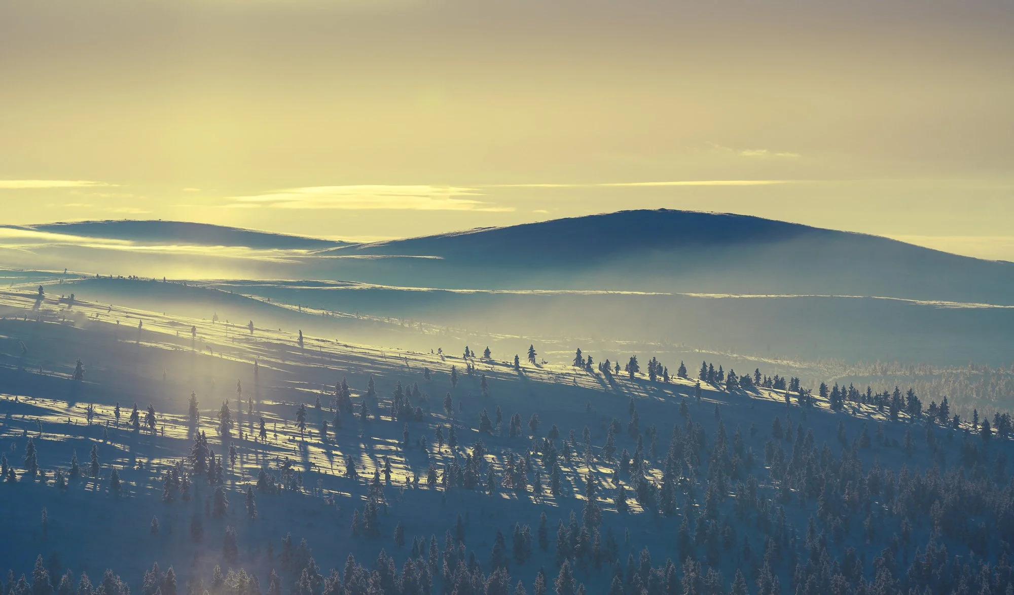 Snow-covered mountain landscape with rolling hills and scattered trees, illuminated by sunlight with mist or fog in the valleys.