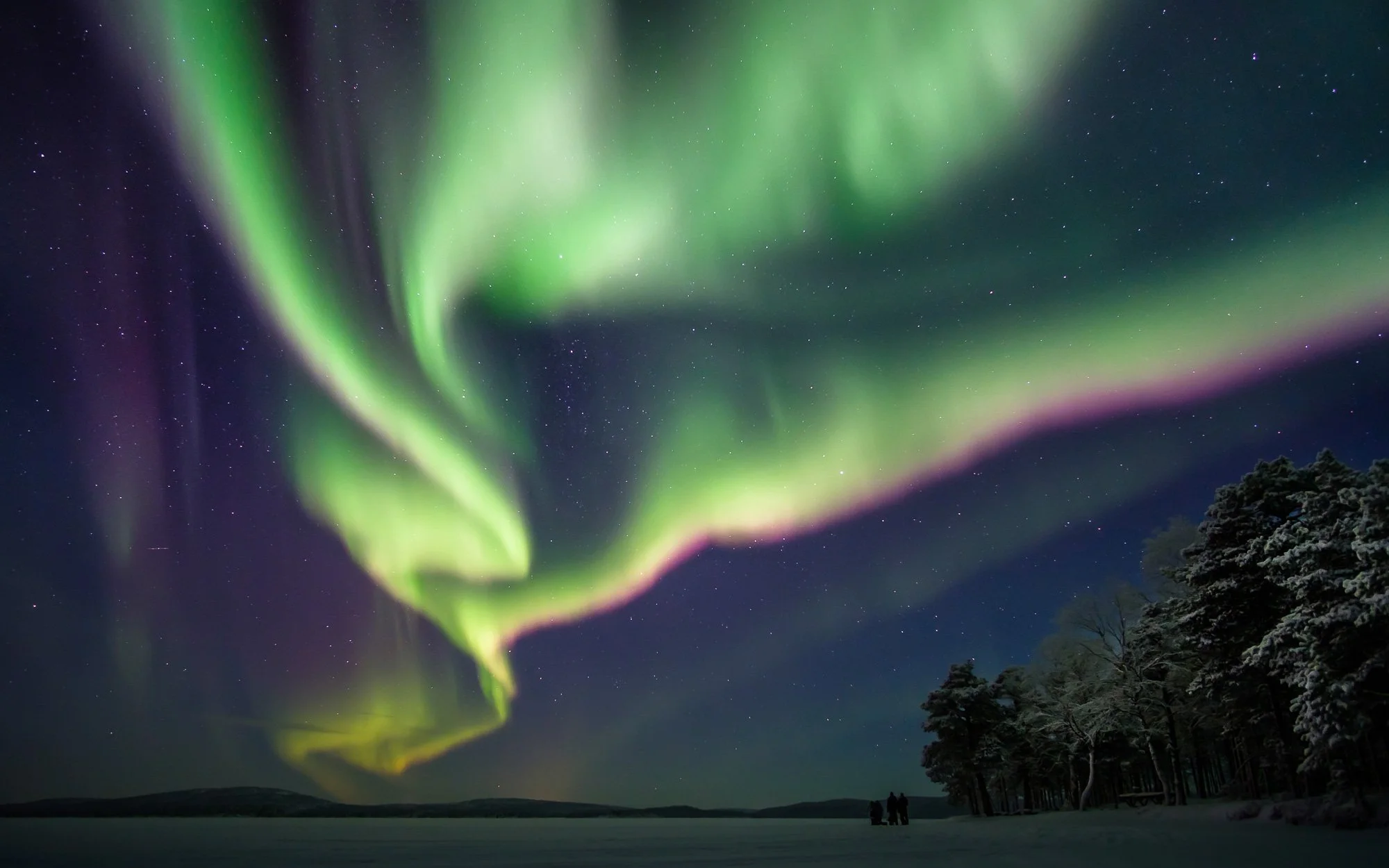 Northern lights illuminating the night sky over a snowy landscape with trees and a small group of people.