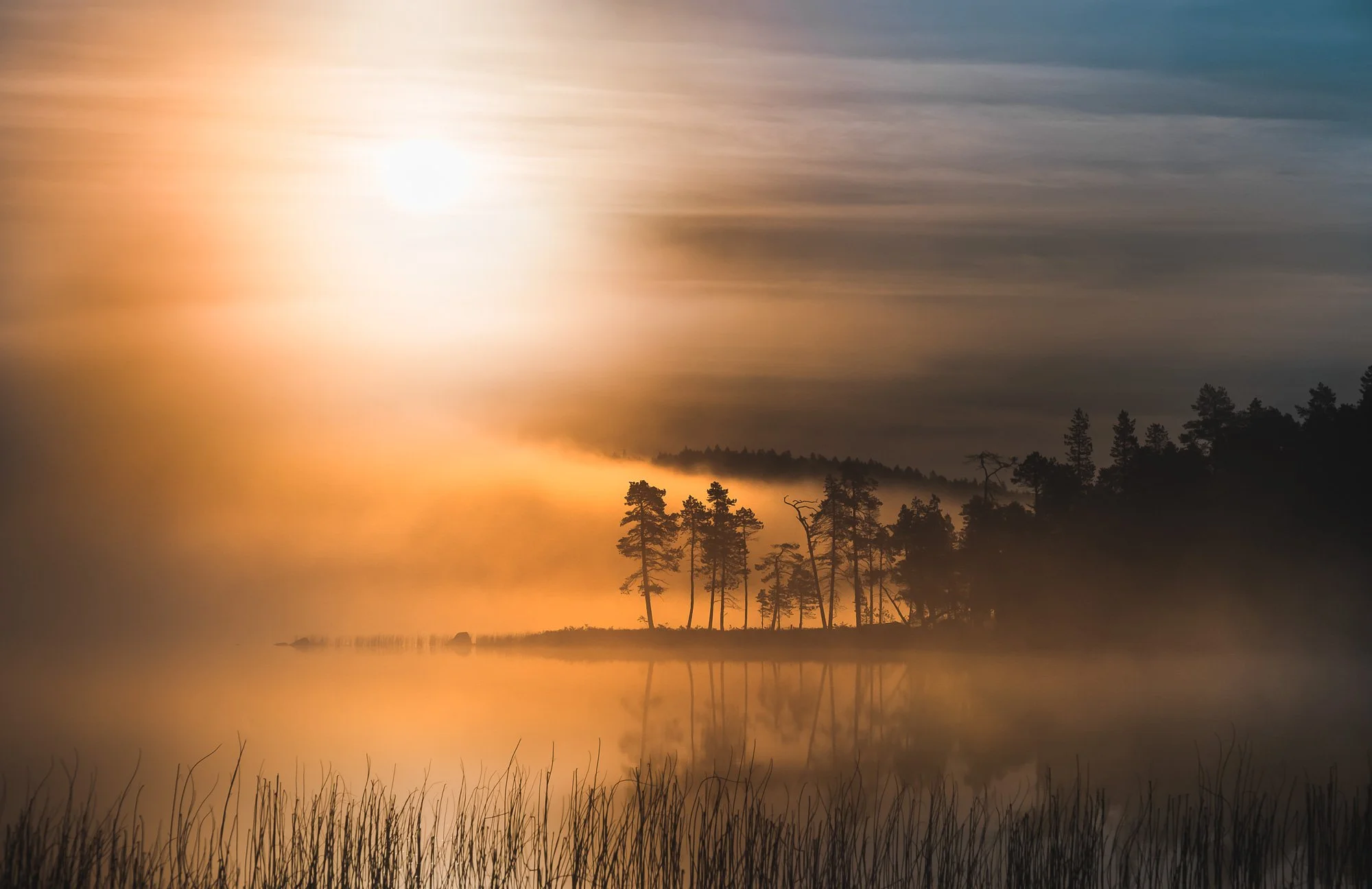 Sunrise over a foggy lake with silhouetted trees and their reflection in the water.