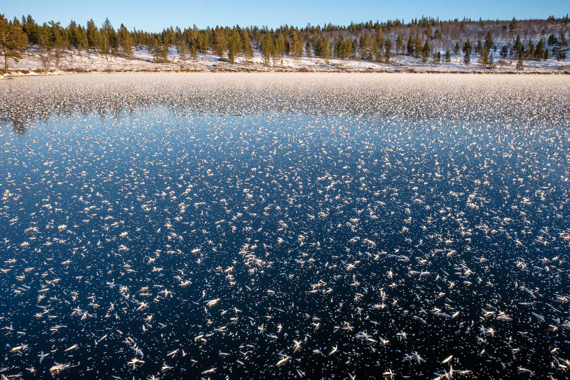 Frozen lake with ice crystals on the surface, surrounded by trees and snow-covered land under a clear sky in winter.