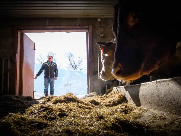 "Kiitos, hyvältä näyttää! Laitan yhden etusivulle."