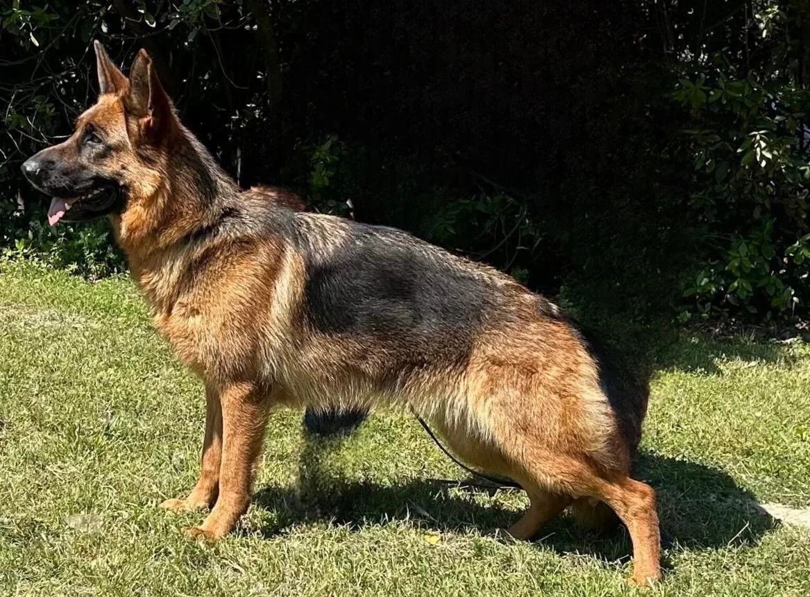 Anita detta Bani.JPG