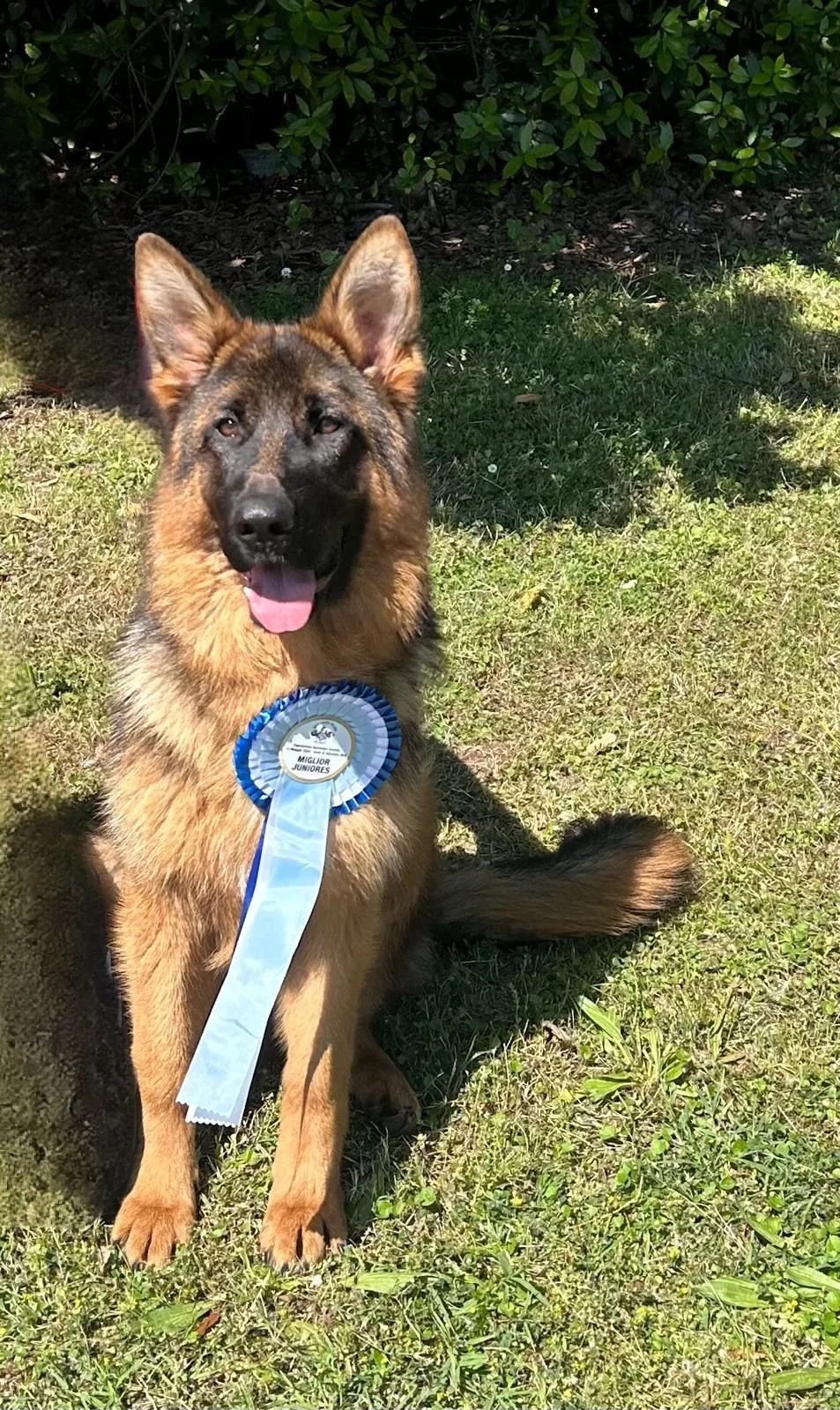 Dea Della Via Degli Dei2.JPG