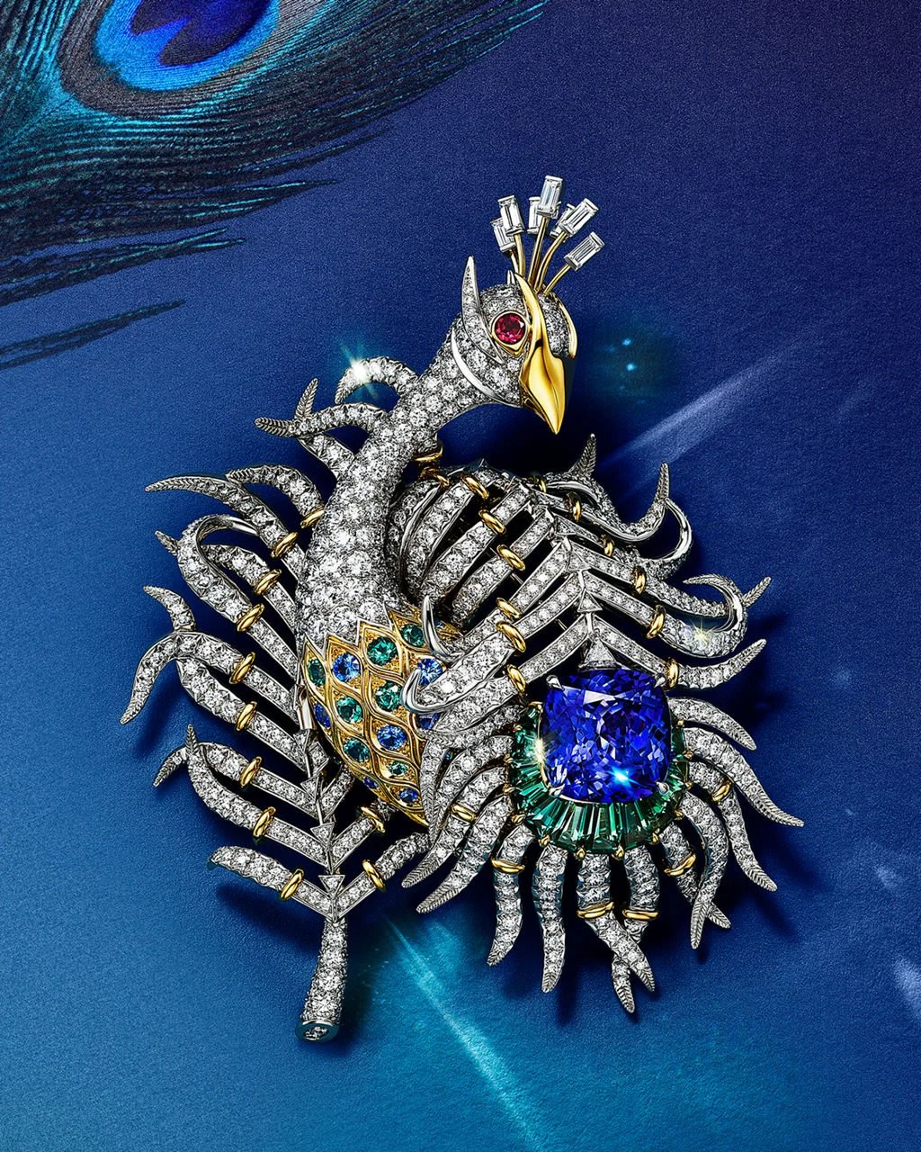 2024_FALL_BB_PeacockLP_FWMH1_Desktop.jpeg