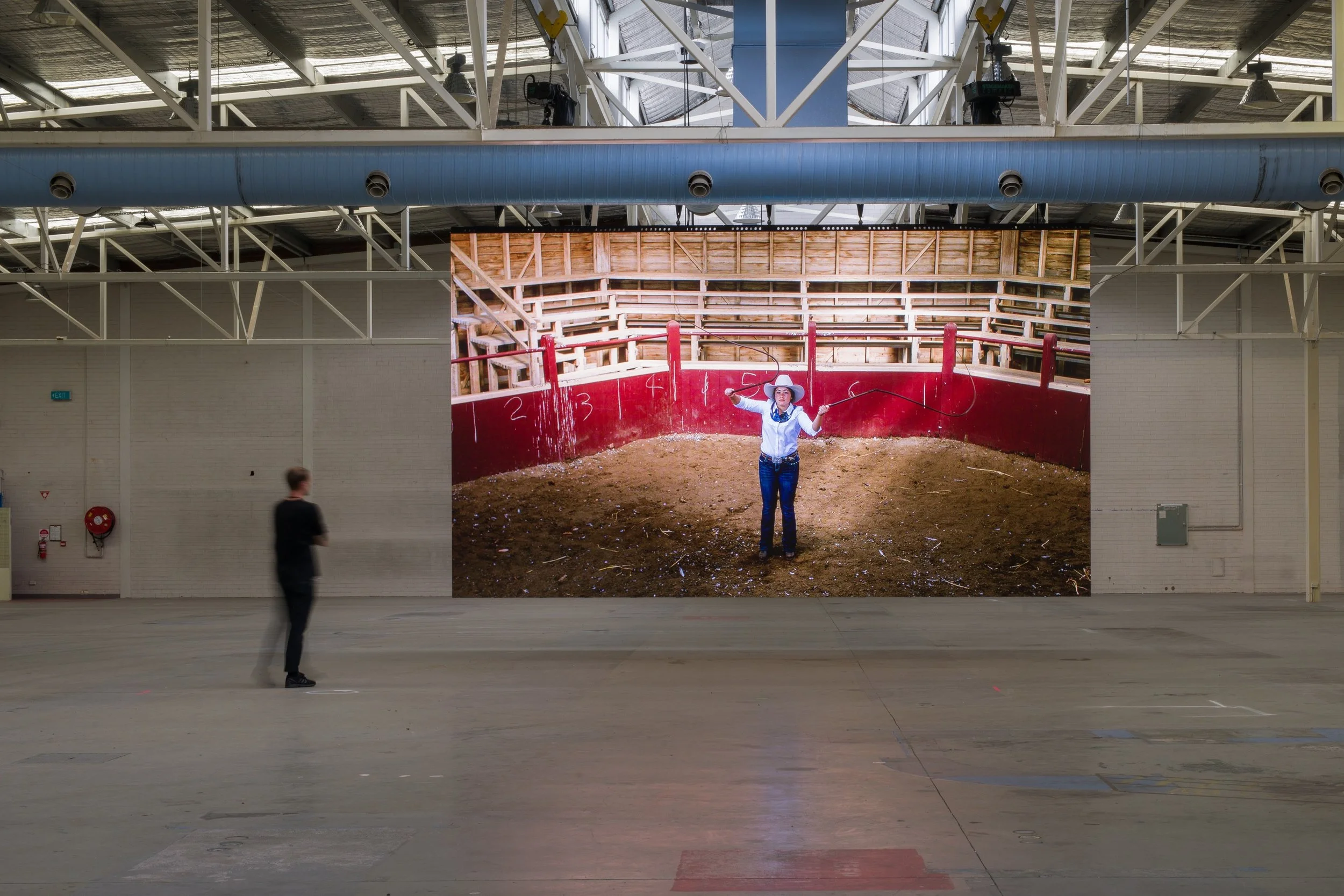 zanny-begg-the-bullwhip-effect-2018-installation-view-at-no-place-like-home-kd-warehouse-mona-foma-2021_50880212676_o.jpg