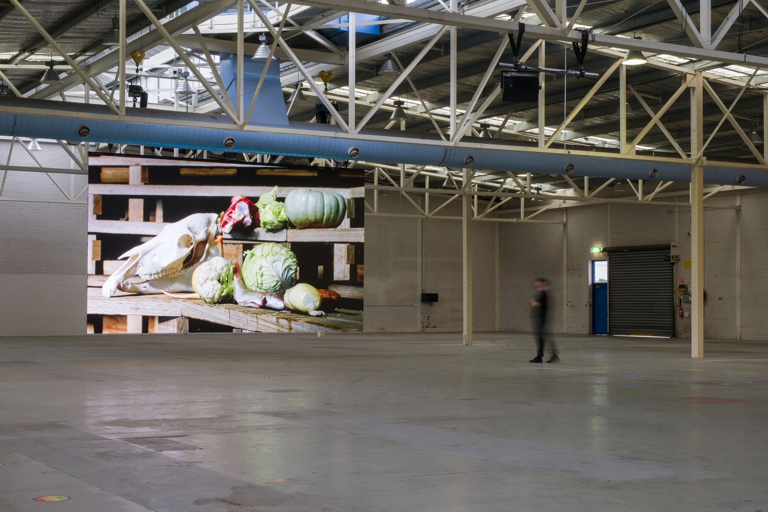 zanny-begg-the-bullwhip-effect-2018-installation-view-at-no-place-like-home-kd-warehouse-mona-foma-2021_50879500978_o.jpg