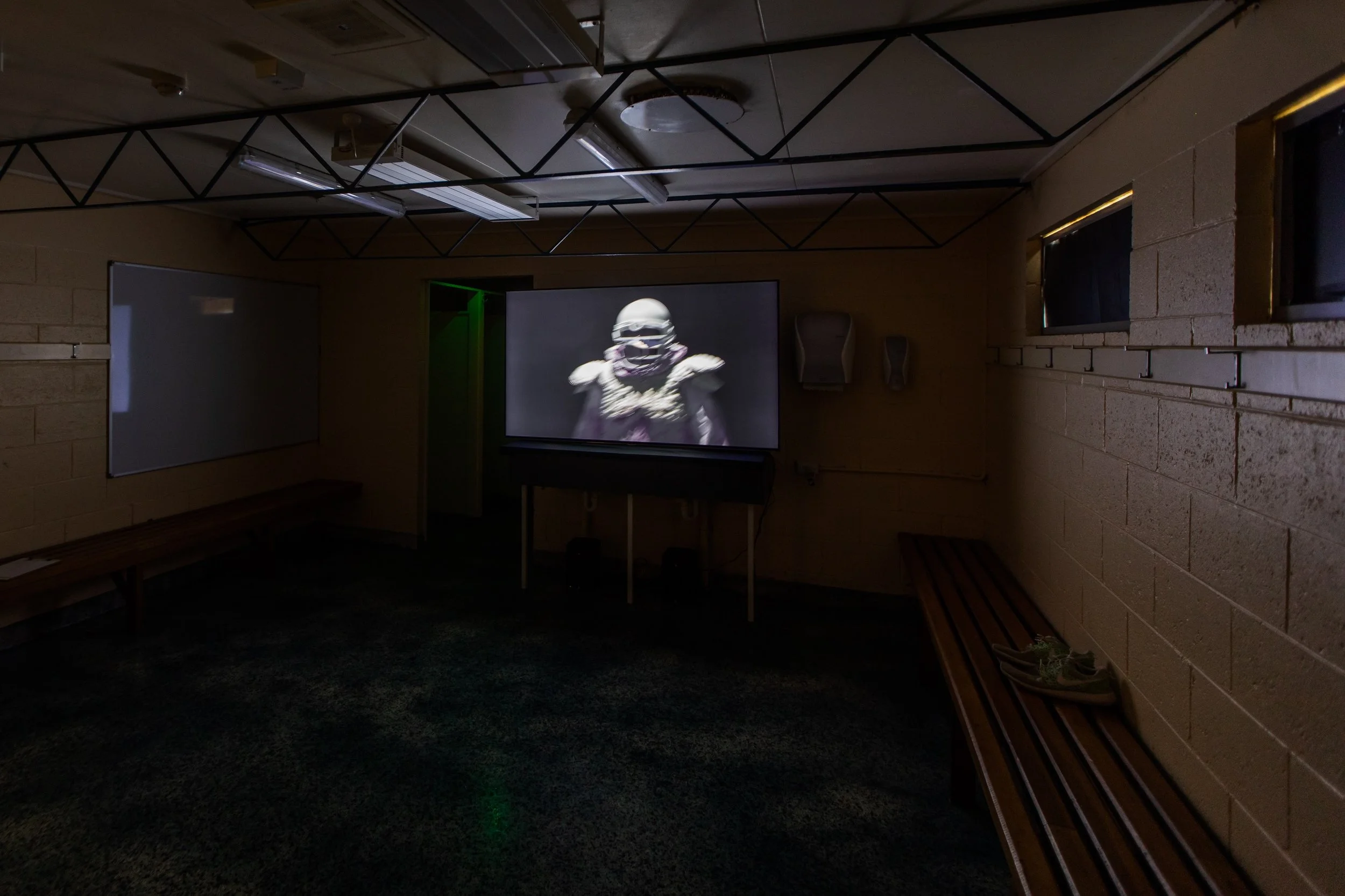 katy-b-plummer-beast-trinity-2019-installation-view-at-the-centre-elphin-sports-centre-mona-foma-2020_49456731208_o.jpg
